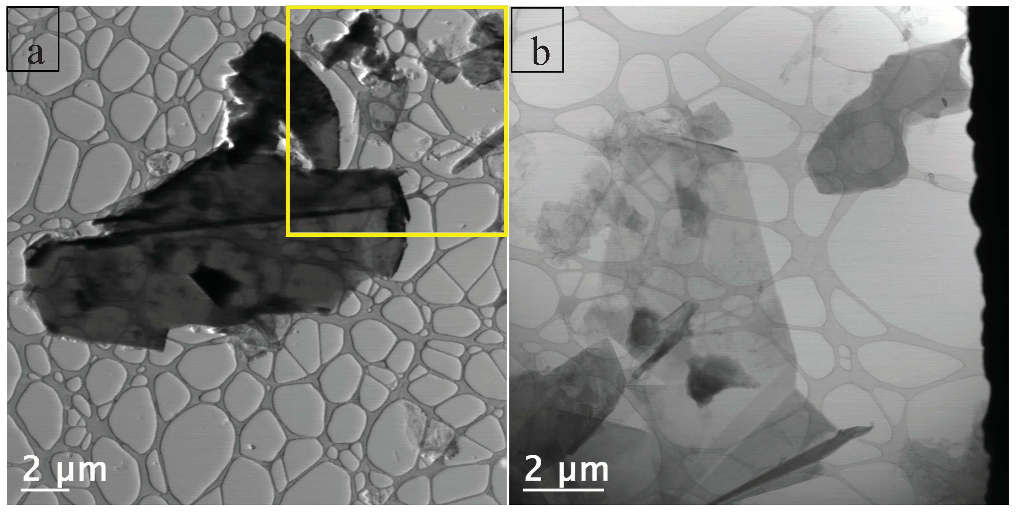 Preprints 159399 g012