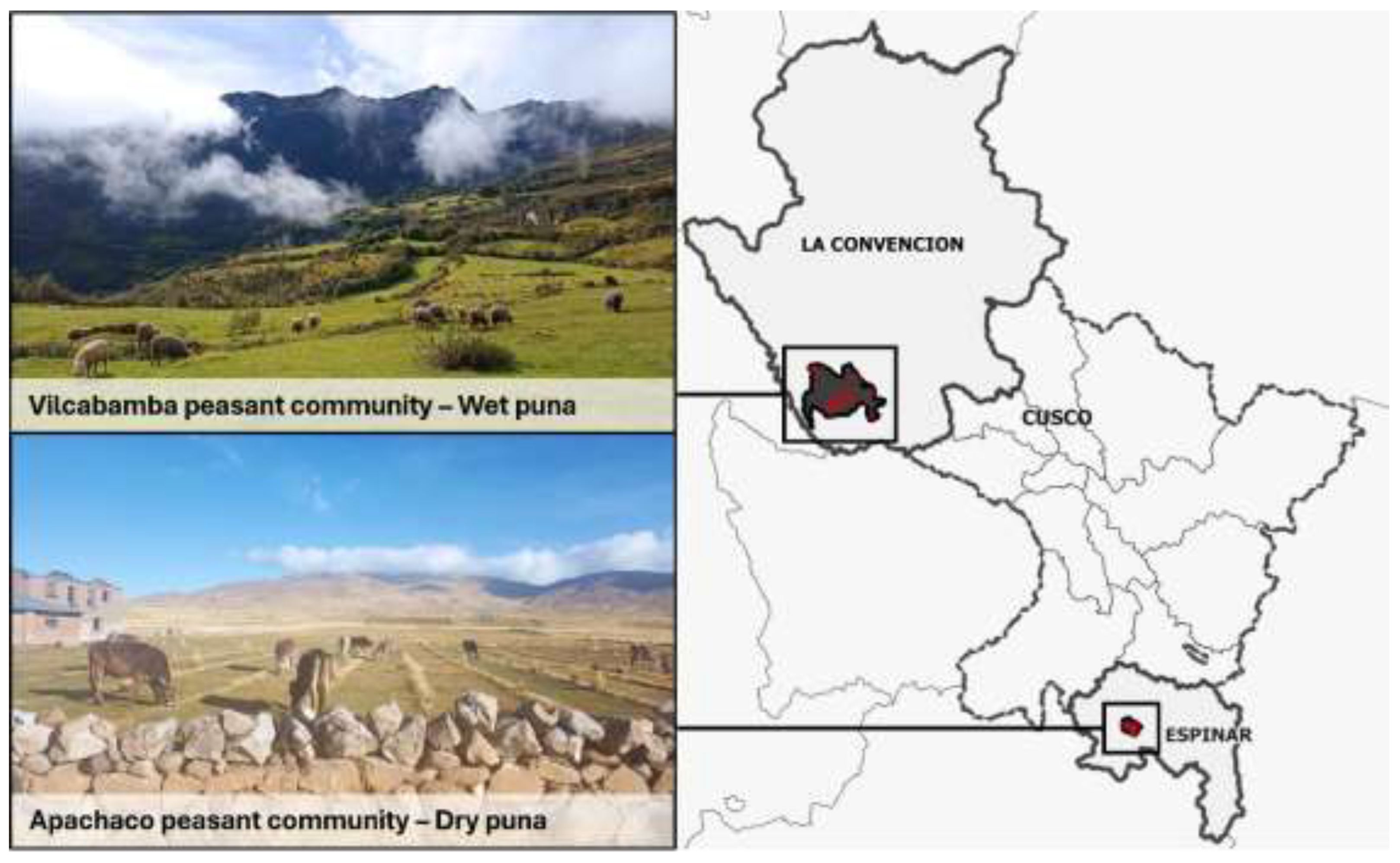 Preprints 141603 g003