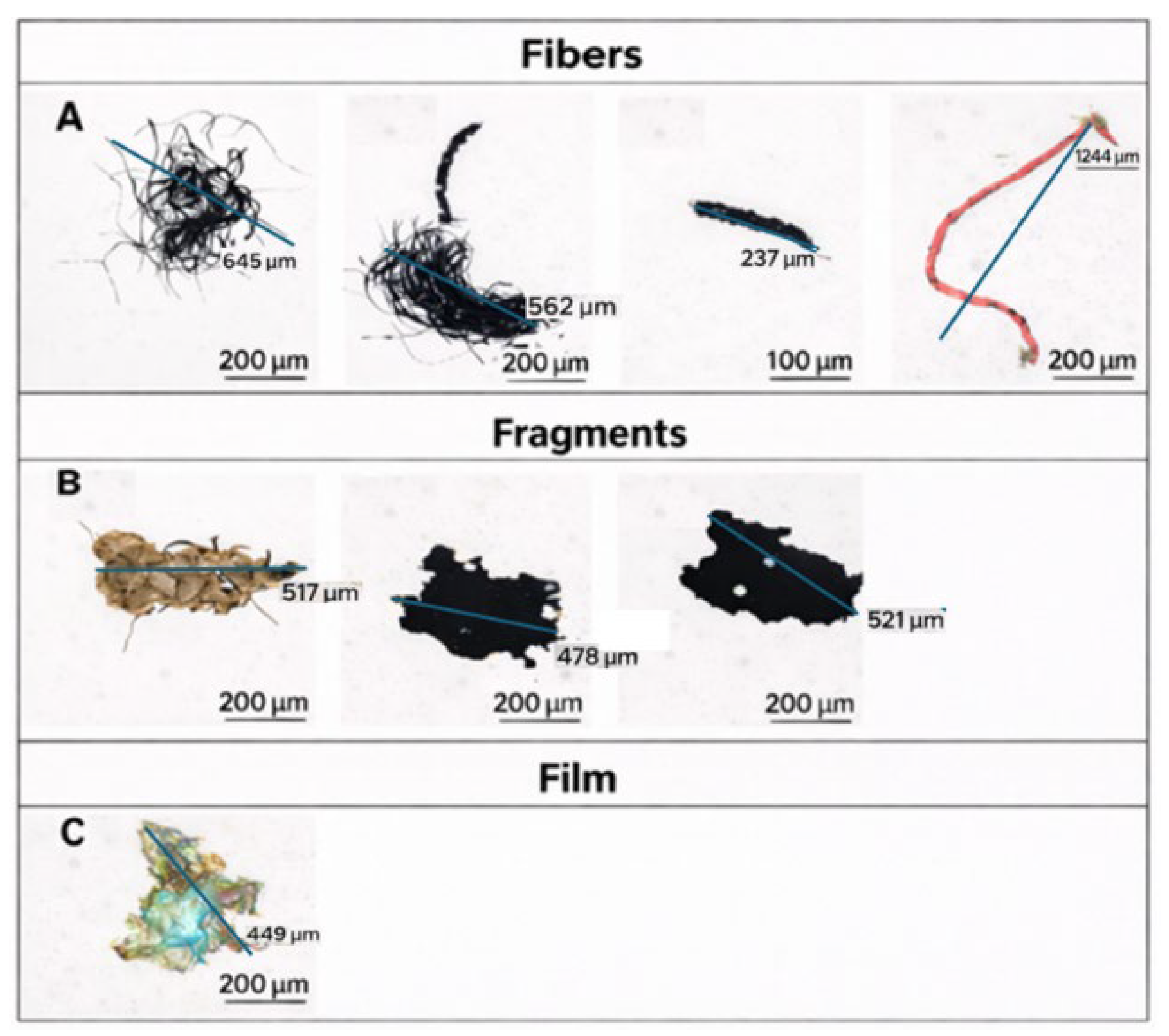 Preprints 208235 g002