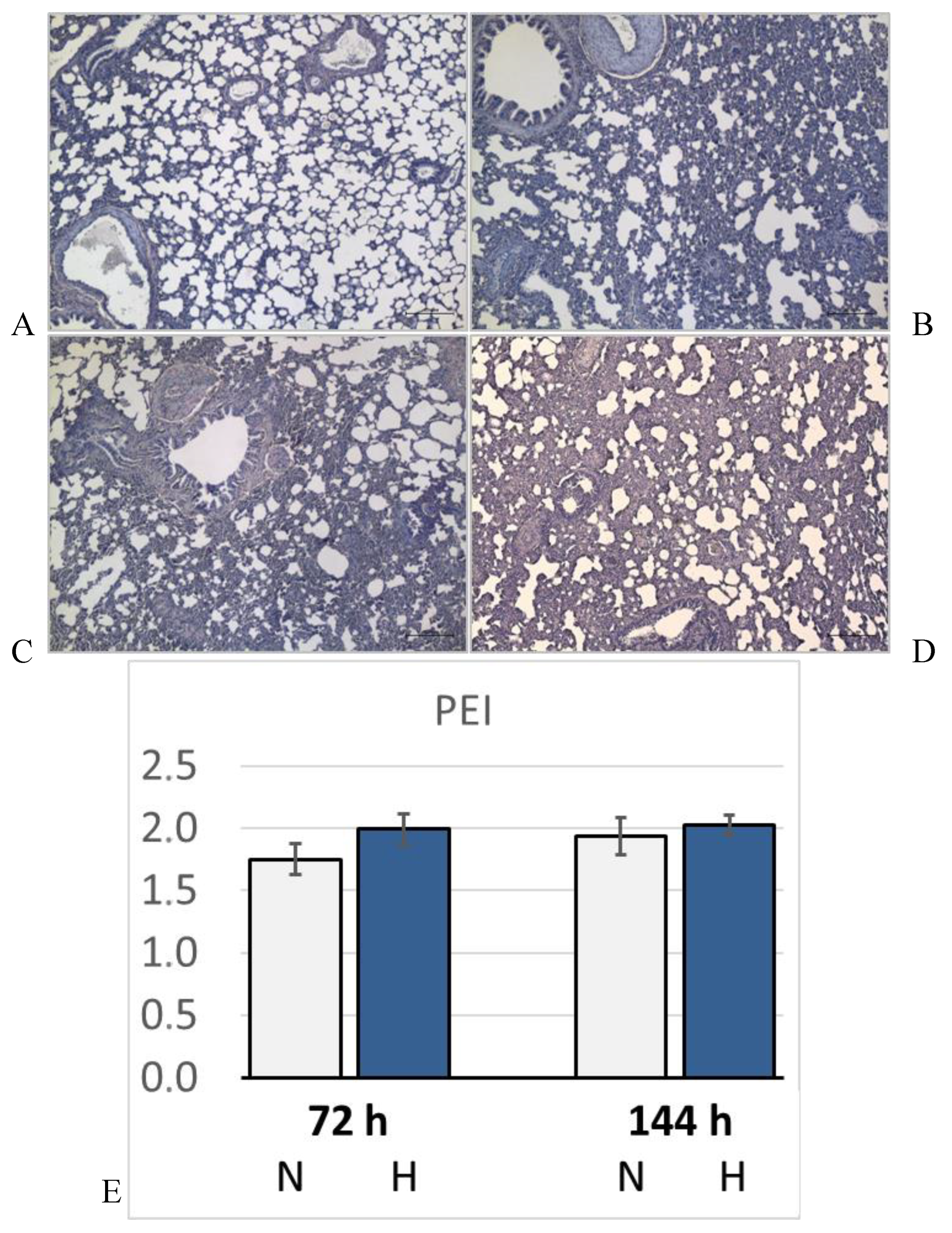 Preprints 146538 g005
