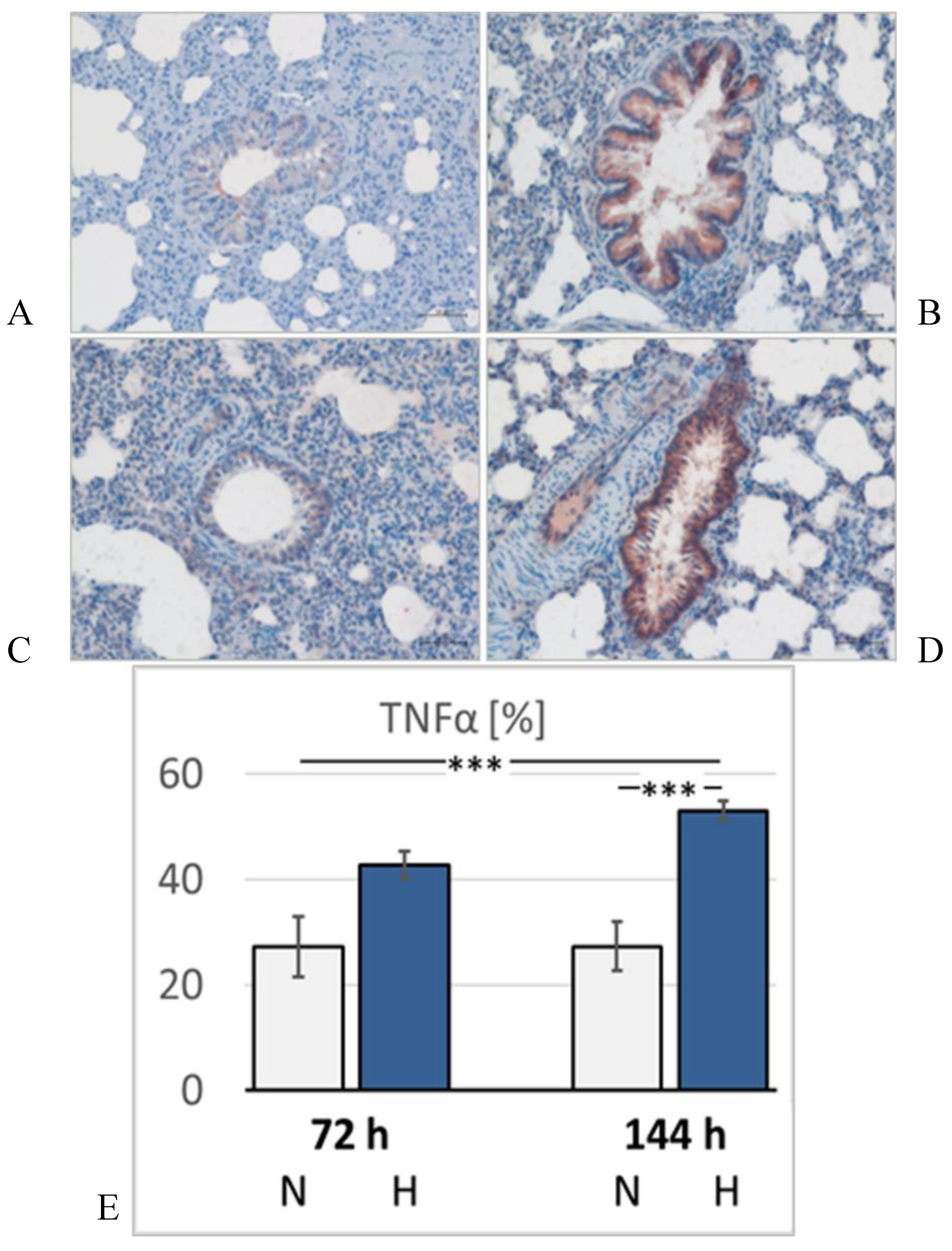 Preprints 146538 g007