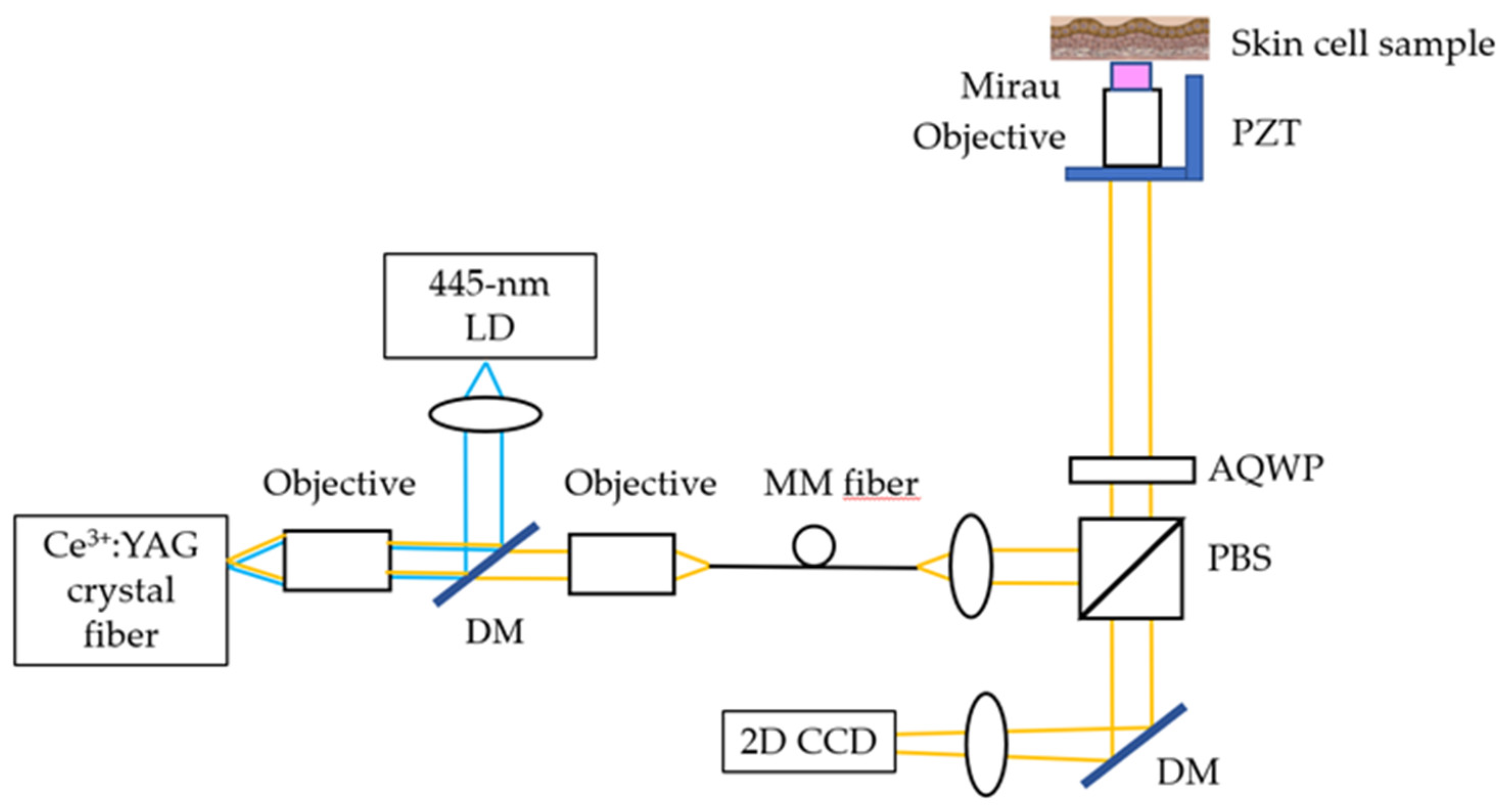 Preprints 143992 g001