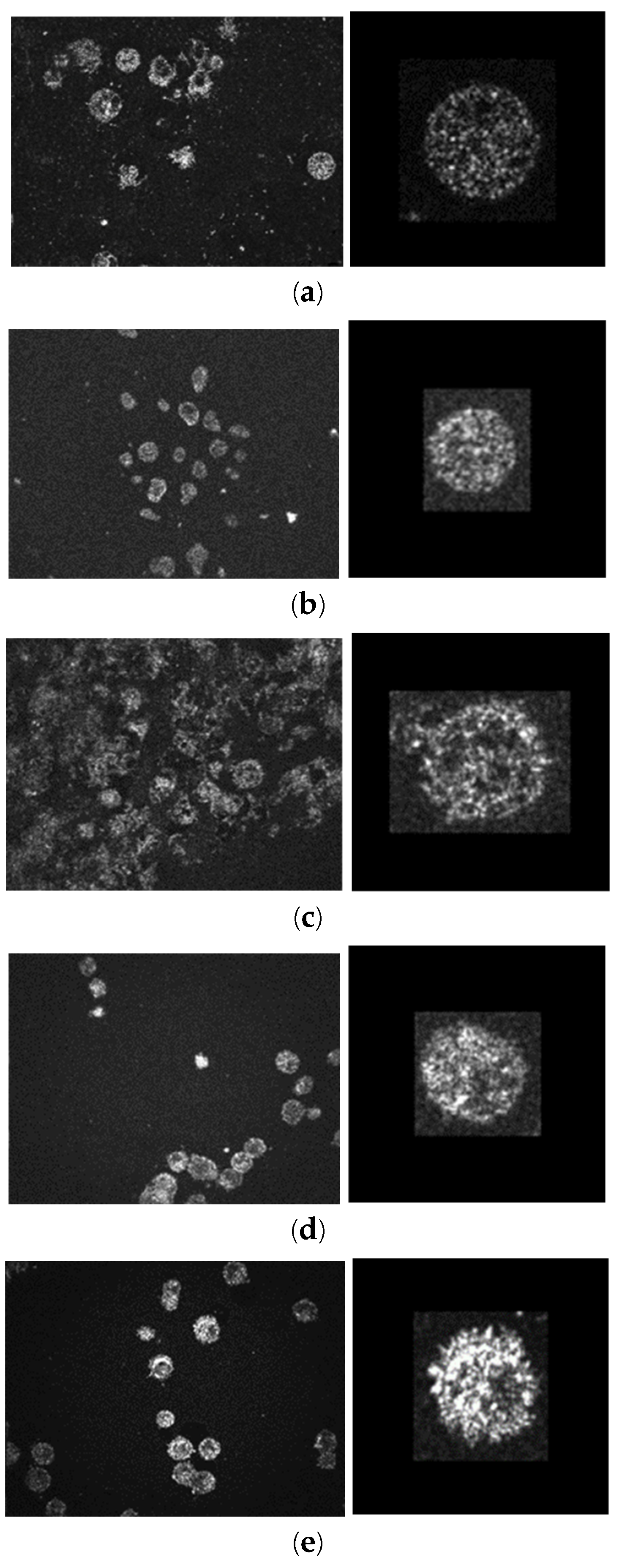 Preprints 143992 g002