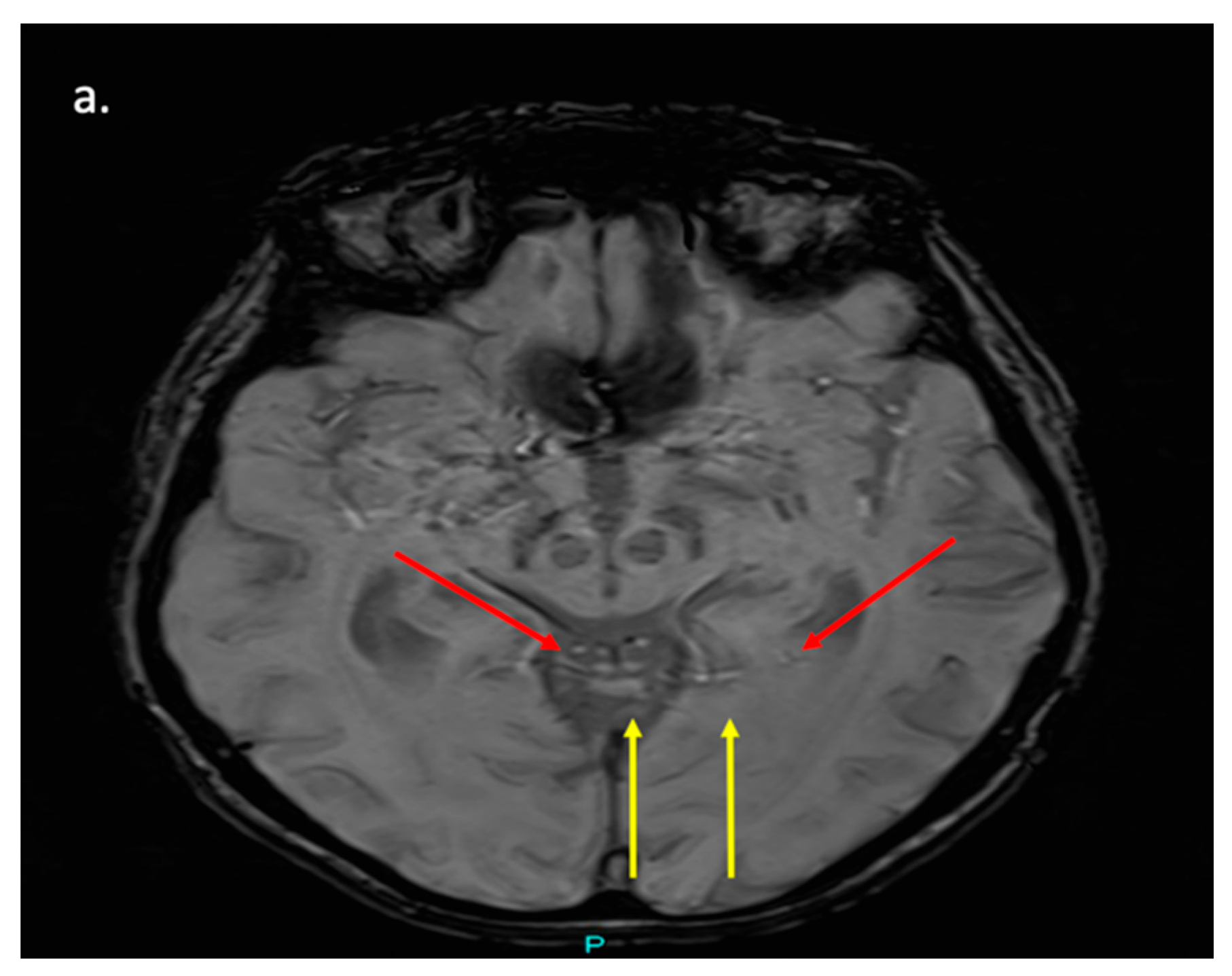 Preprints 173094 g003