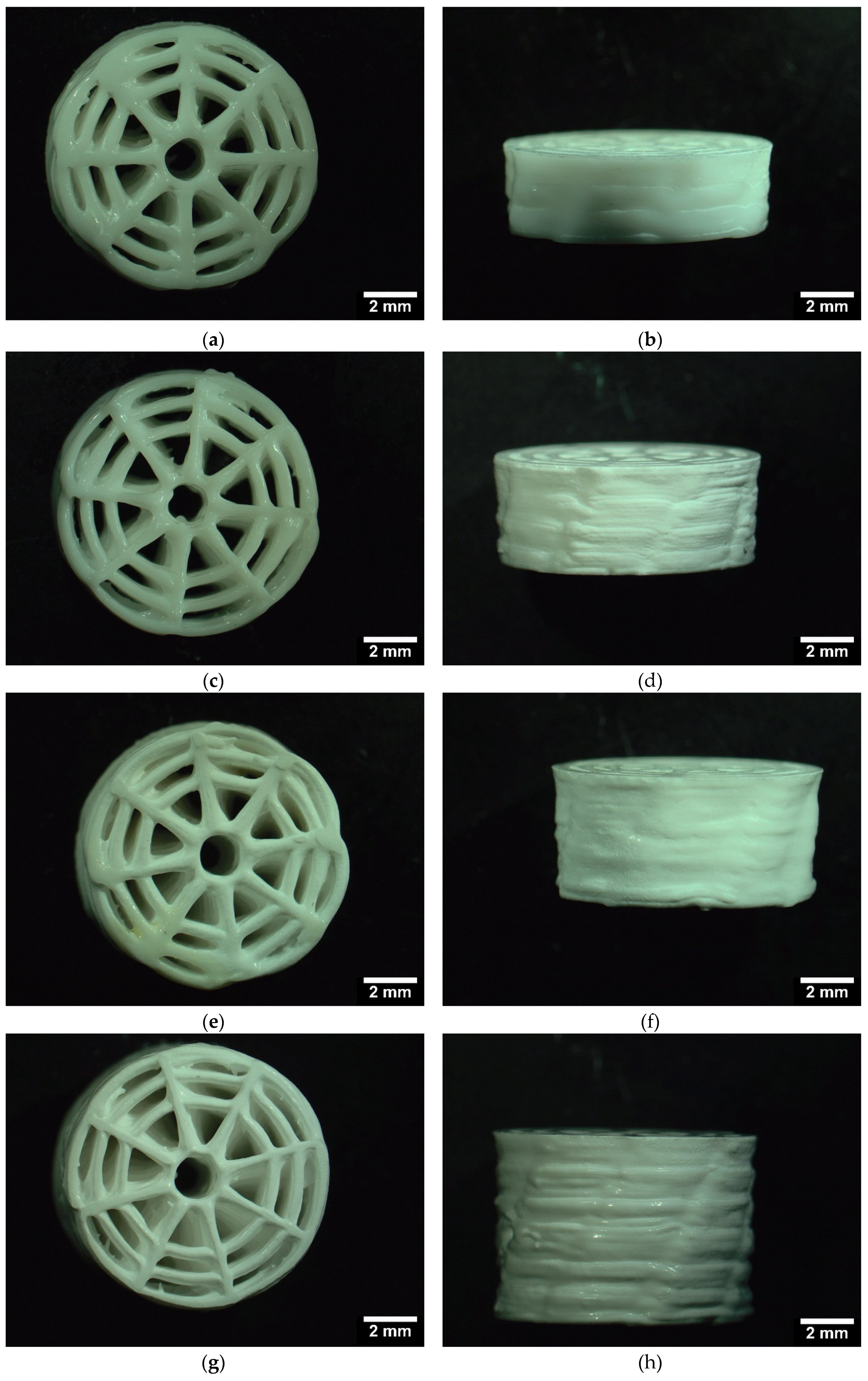 Preprints 73055 g002a