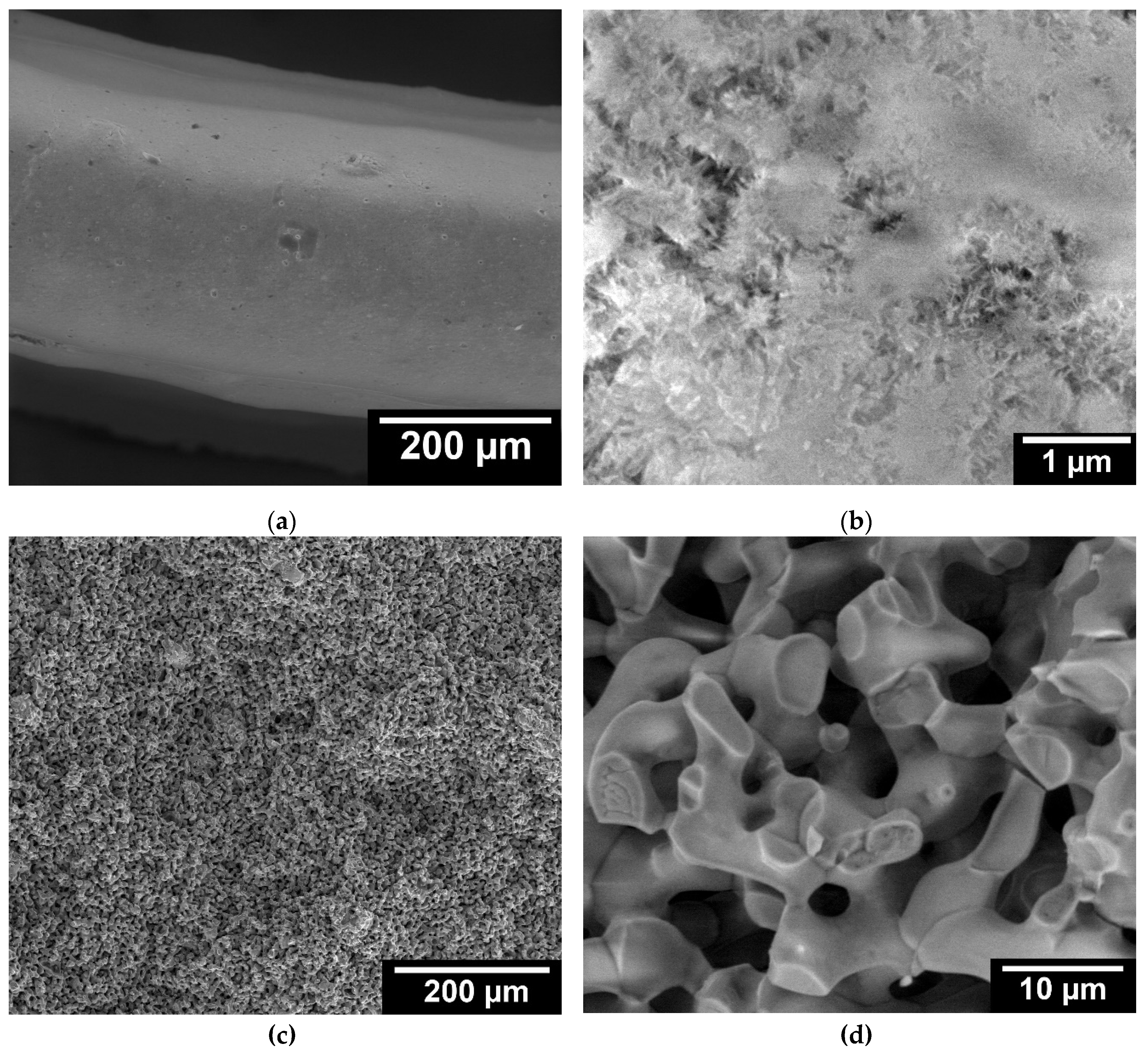 Preprints 73055 g0a1