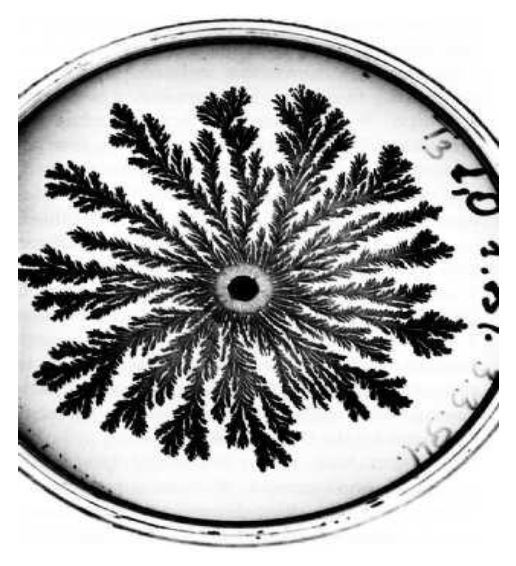 Preprints 143448 g013