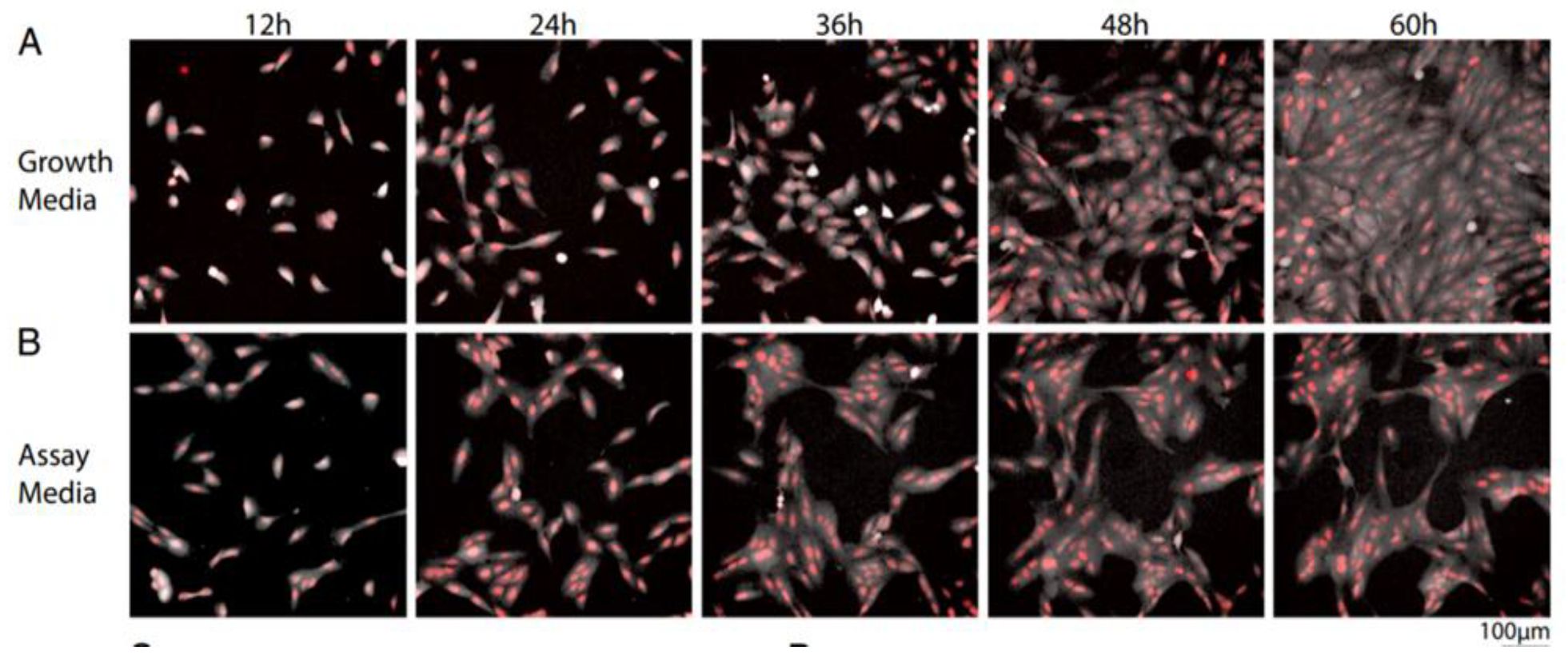 Preprints 143448 g052