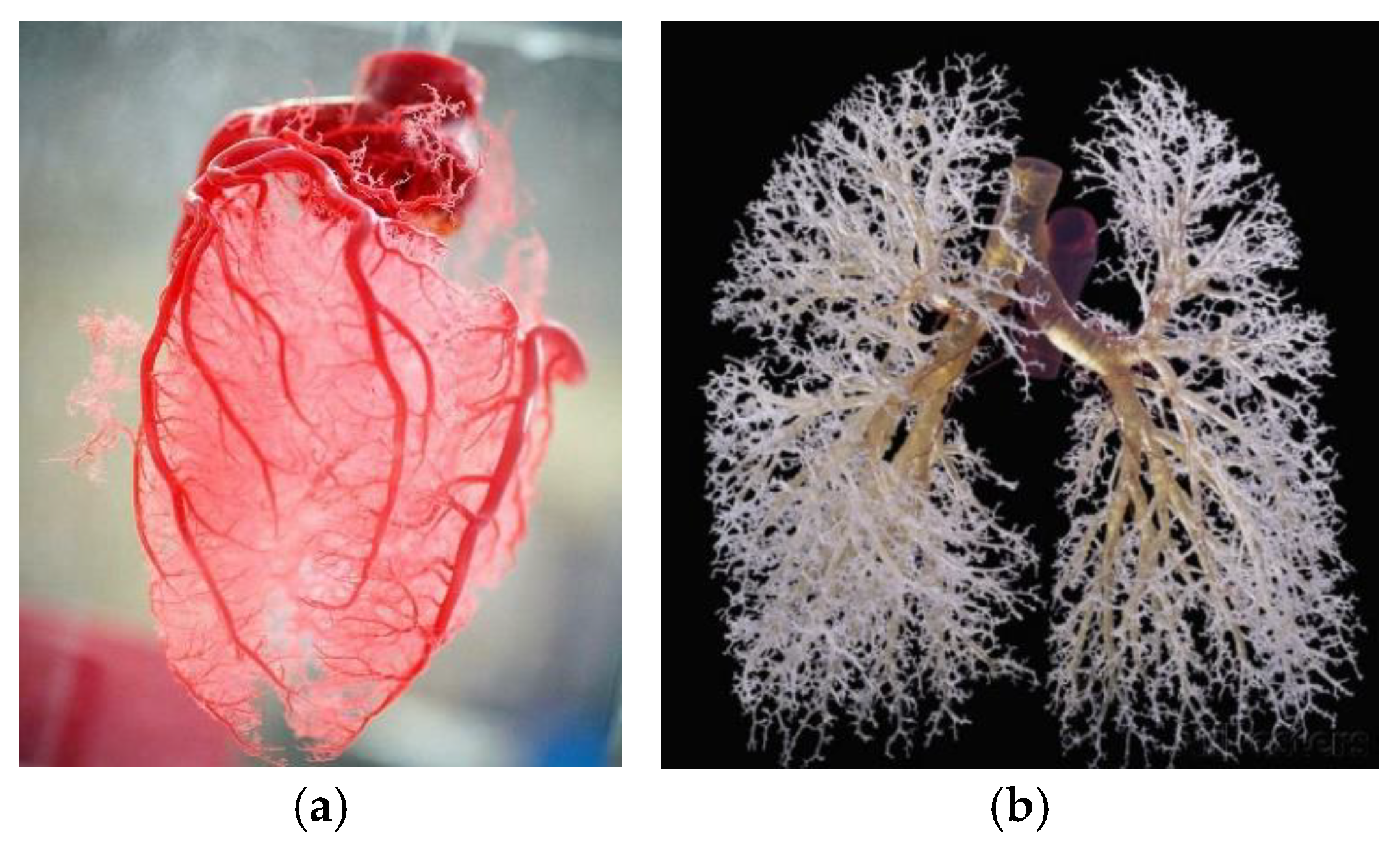 Preprints 143448 g053a