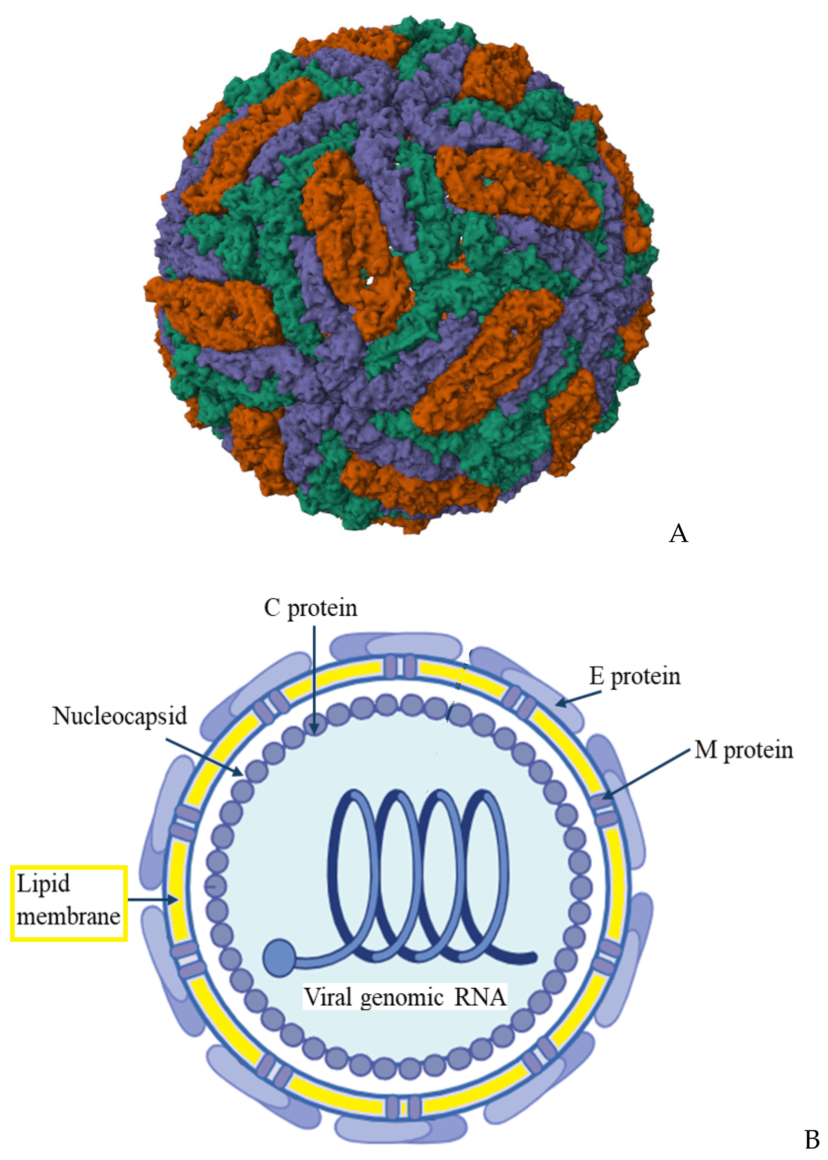 Preprints 140575 g001