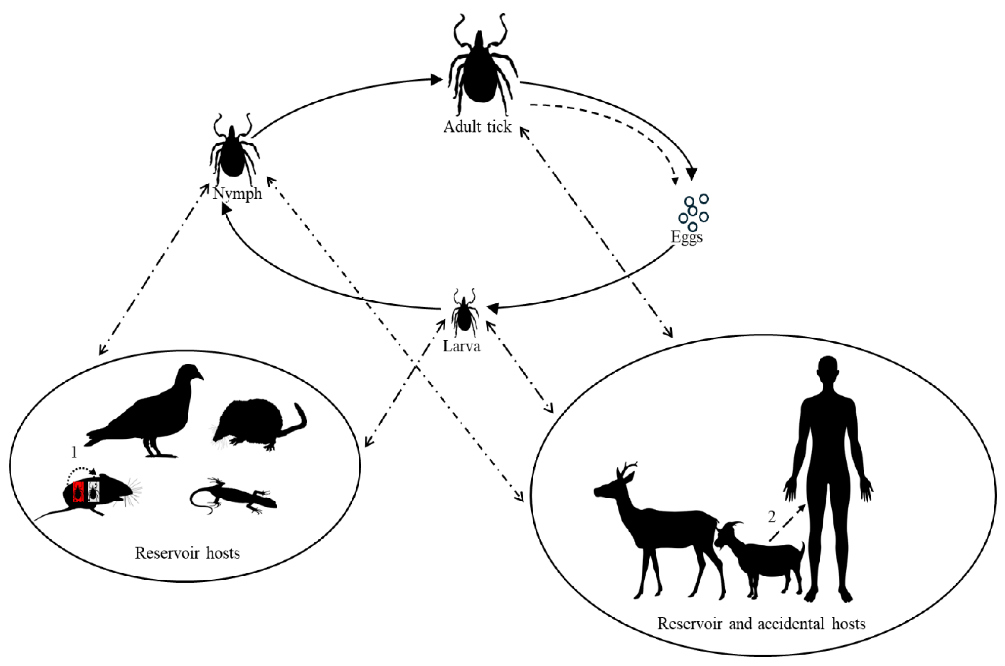 Preprints 140575 g003