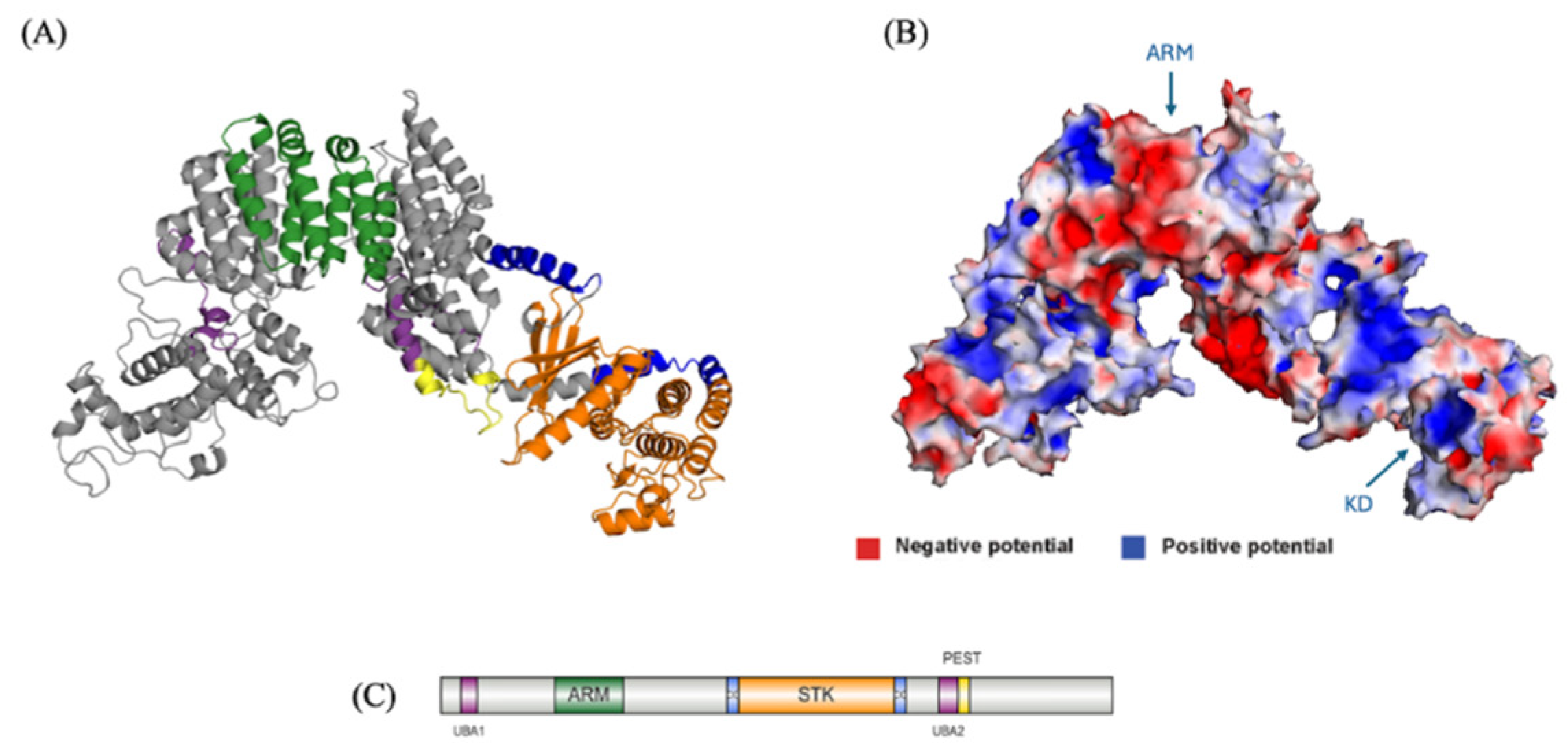 Preprints 140045 g001a