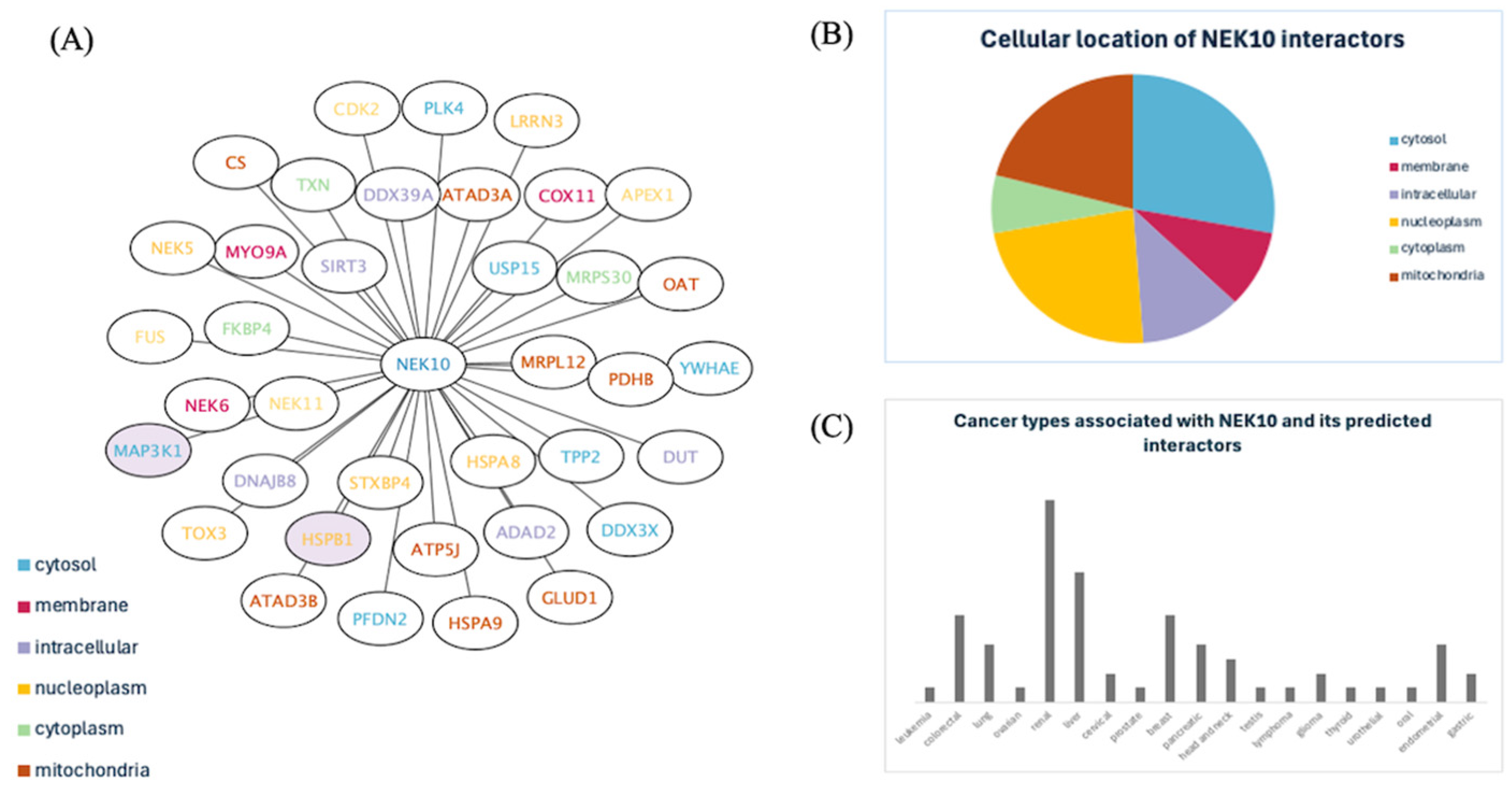 Preprints 140045 g002