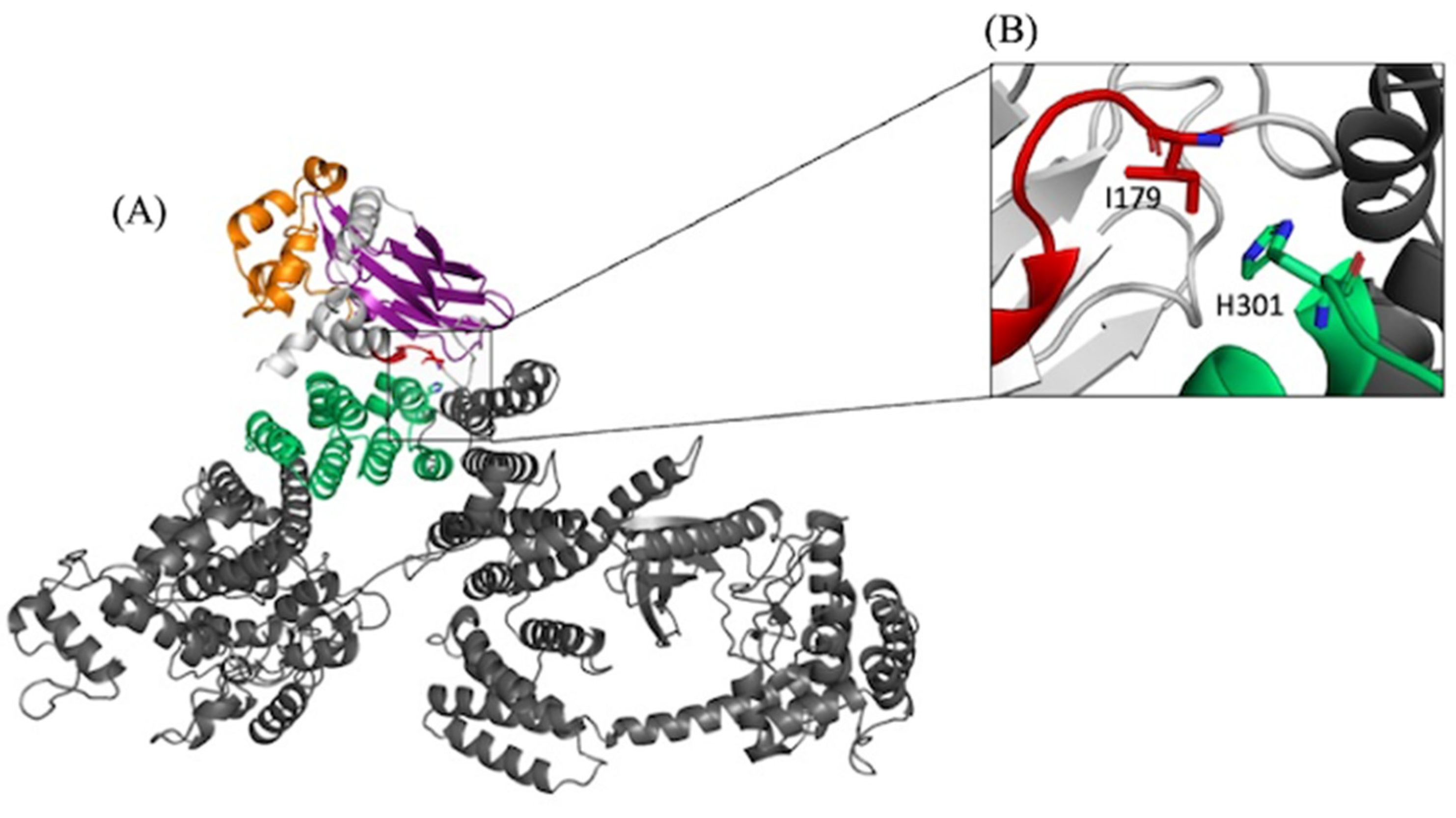 Preprints 140045 g004