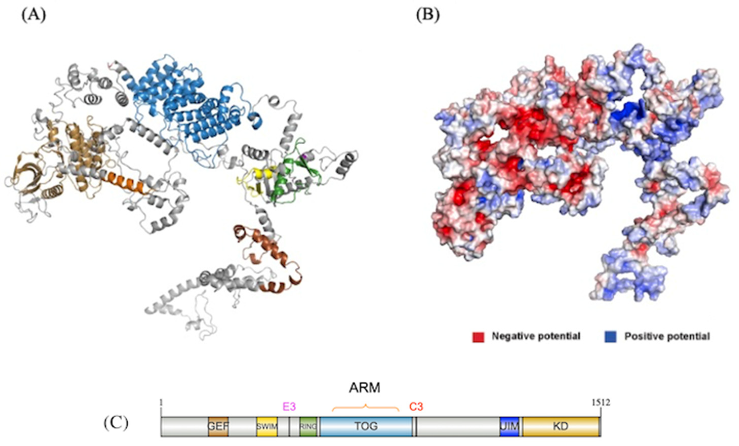 Preprints 140045 g005