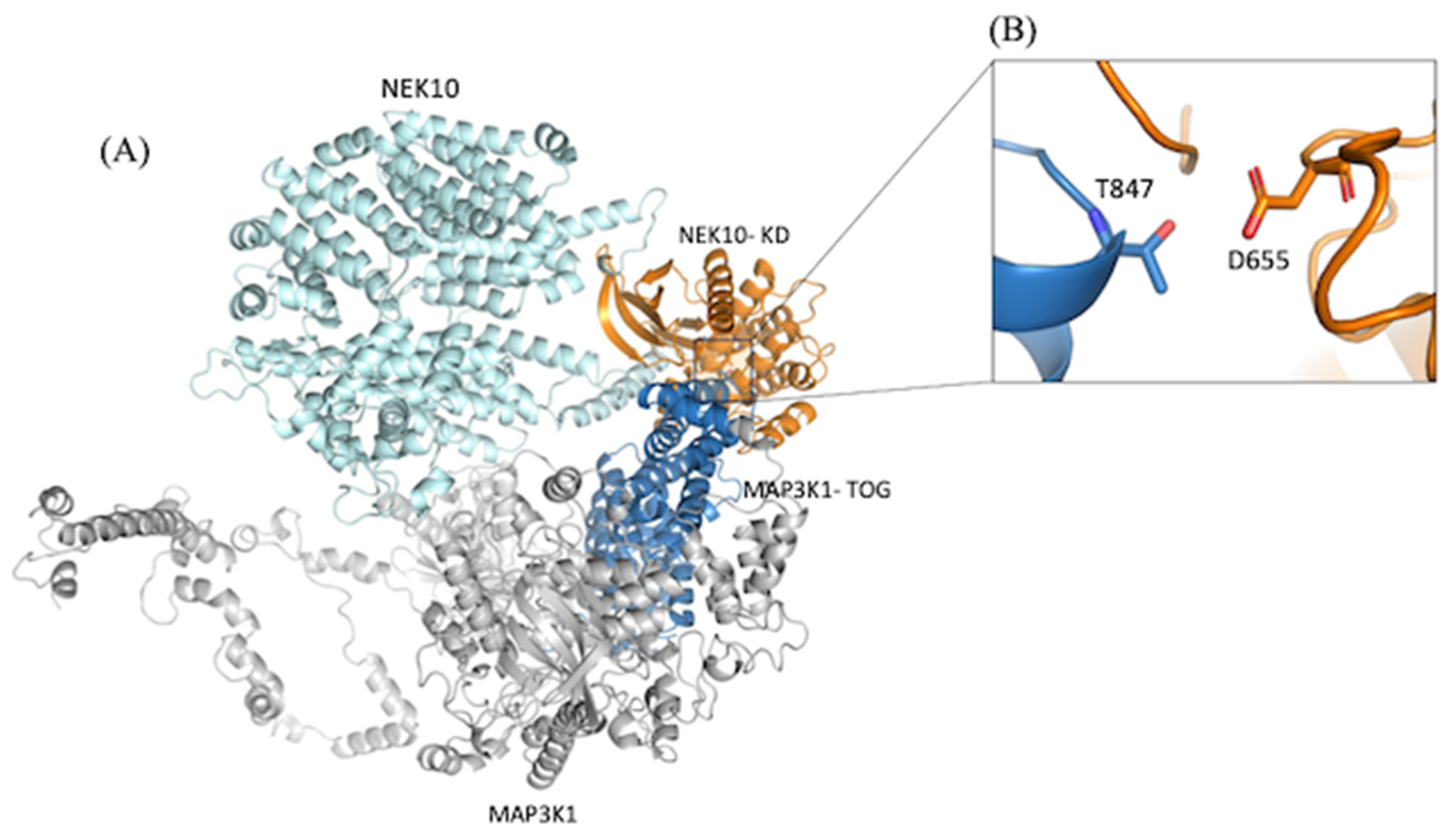 Preprints 140045 g006
