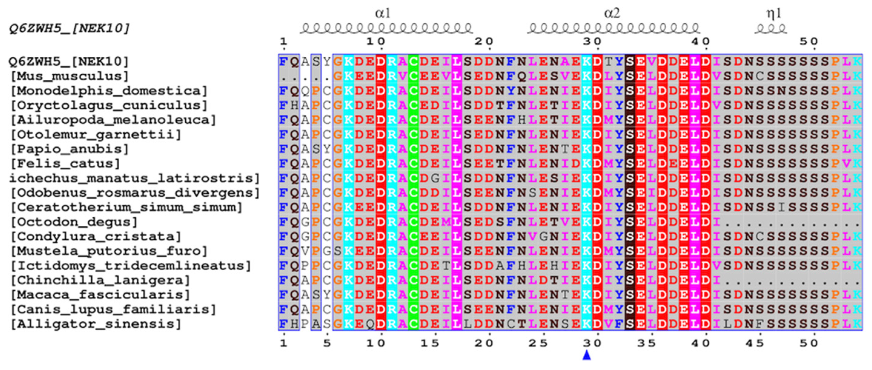 Preprints 140045 g007