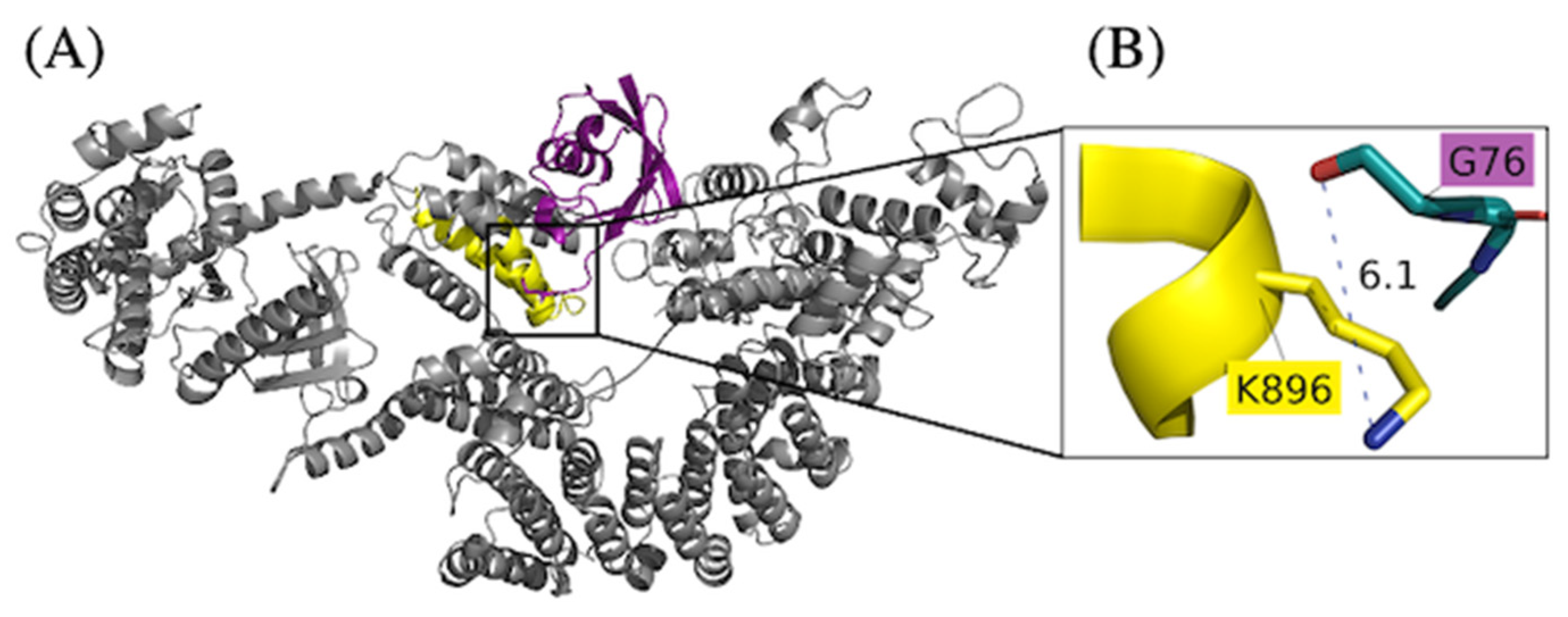 Preprints 140045 g008