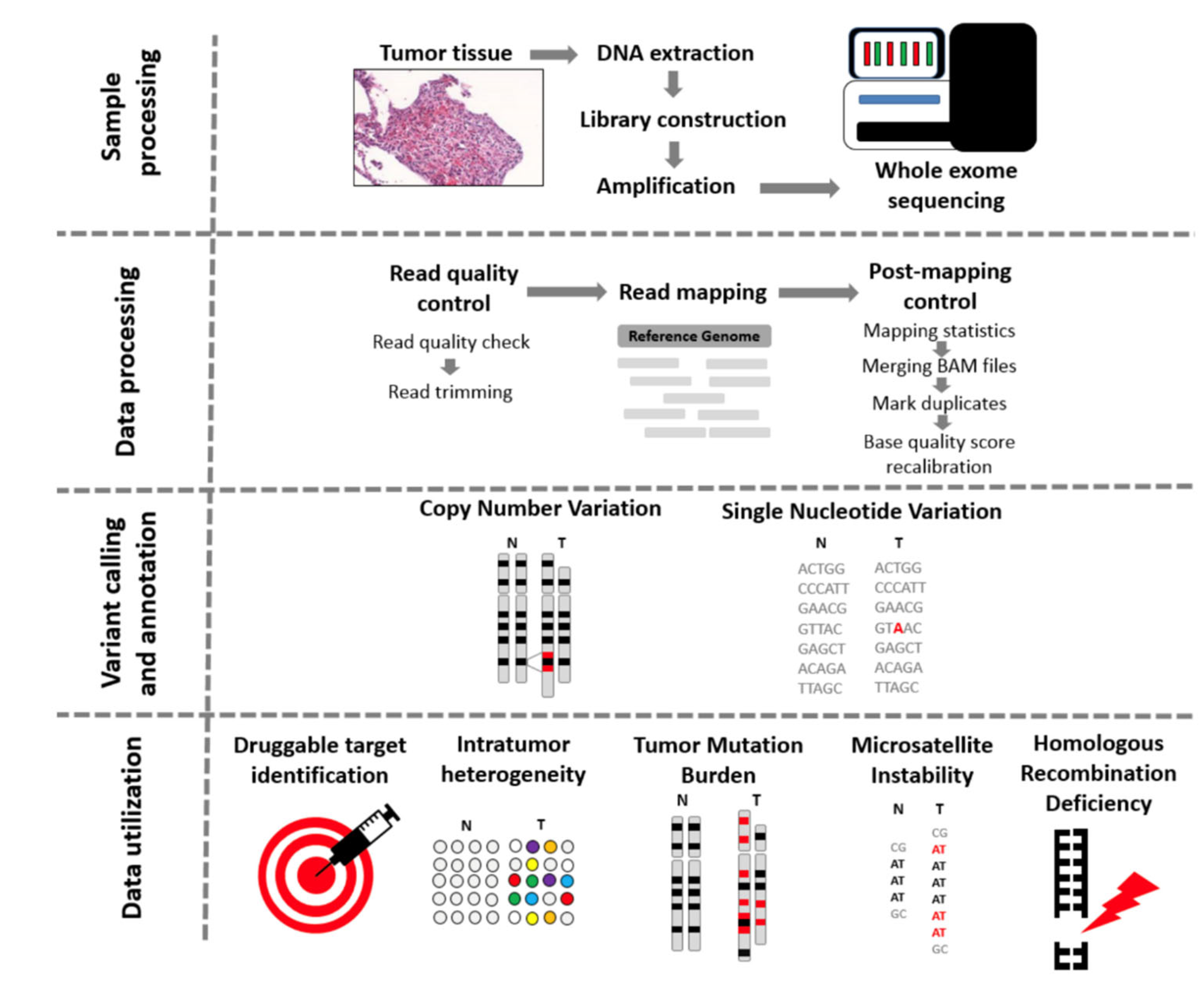 Preprints 113882 g001