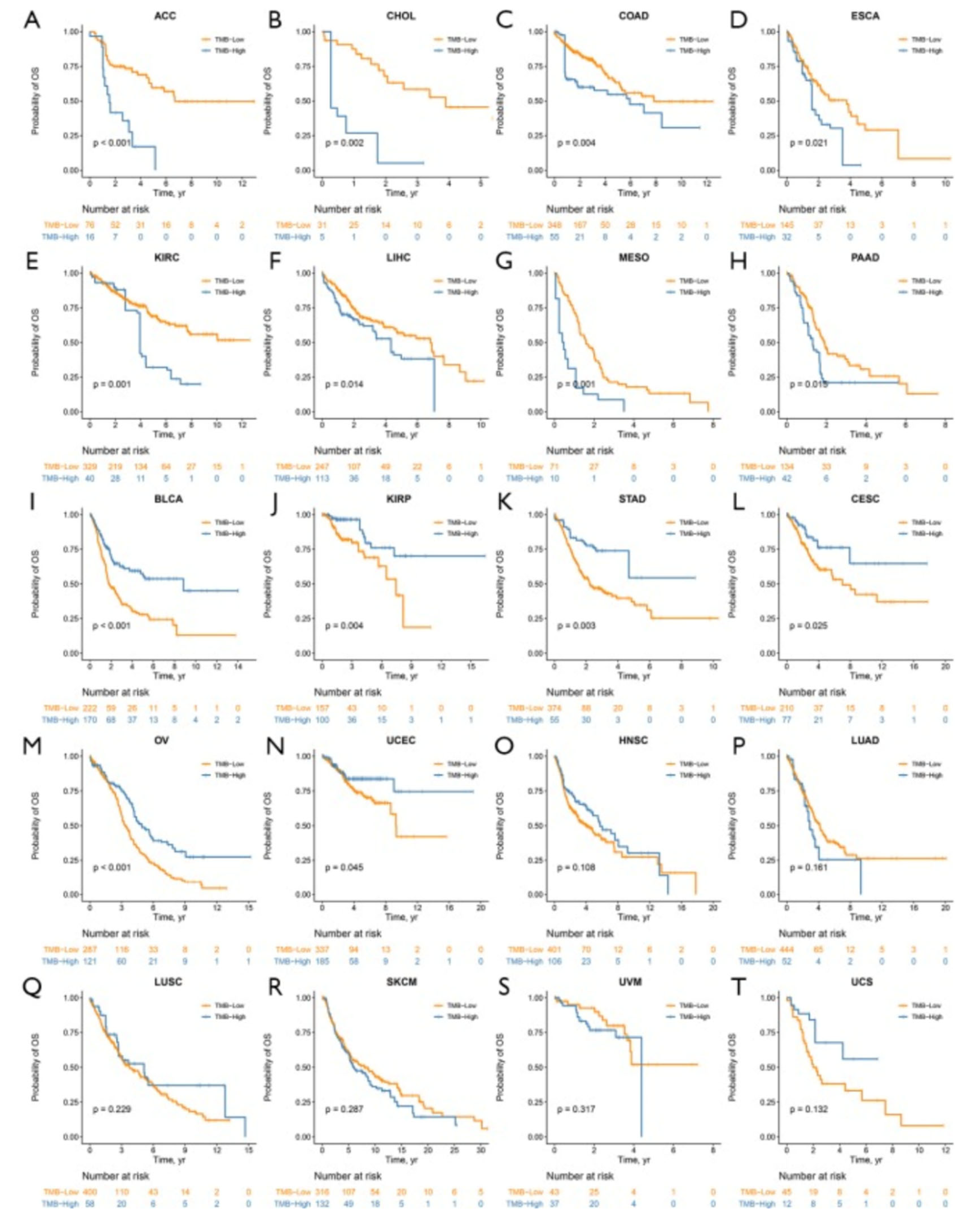 Preprints 113882 g002