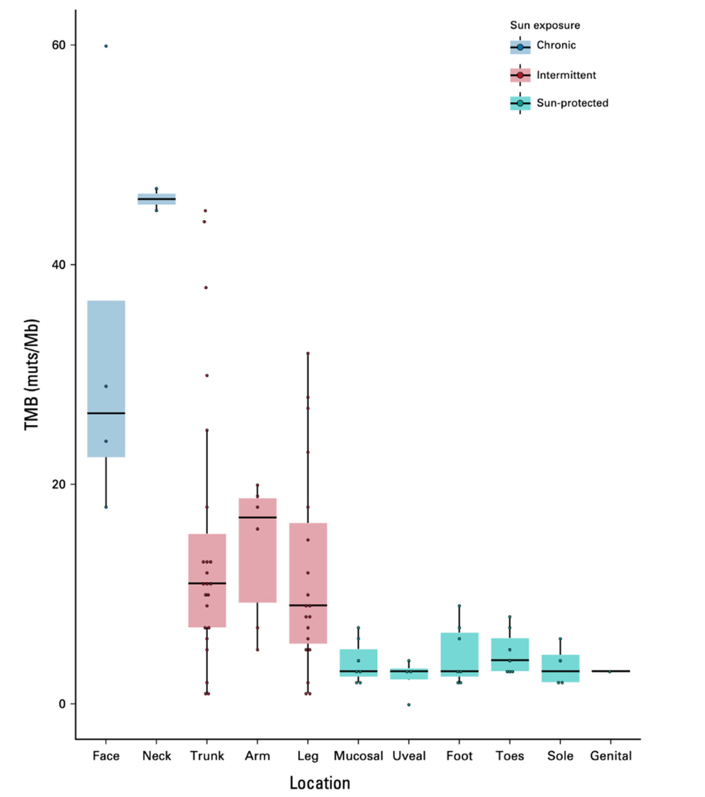 Preprints 113882 g003