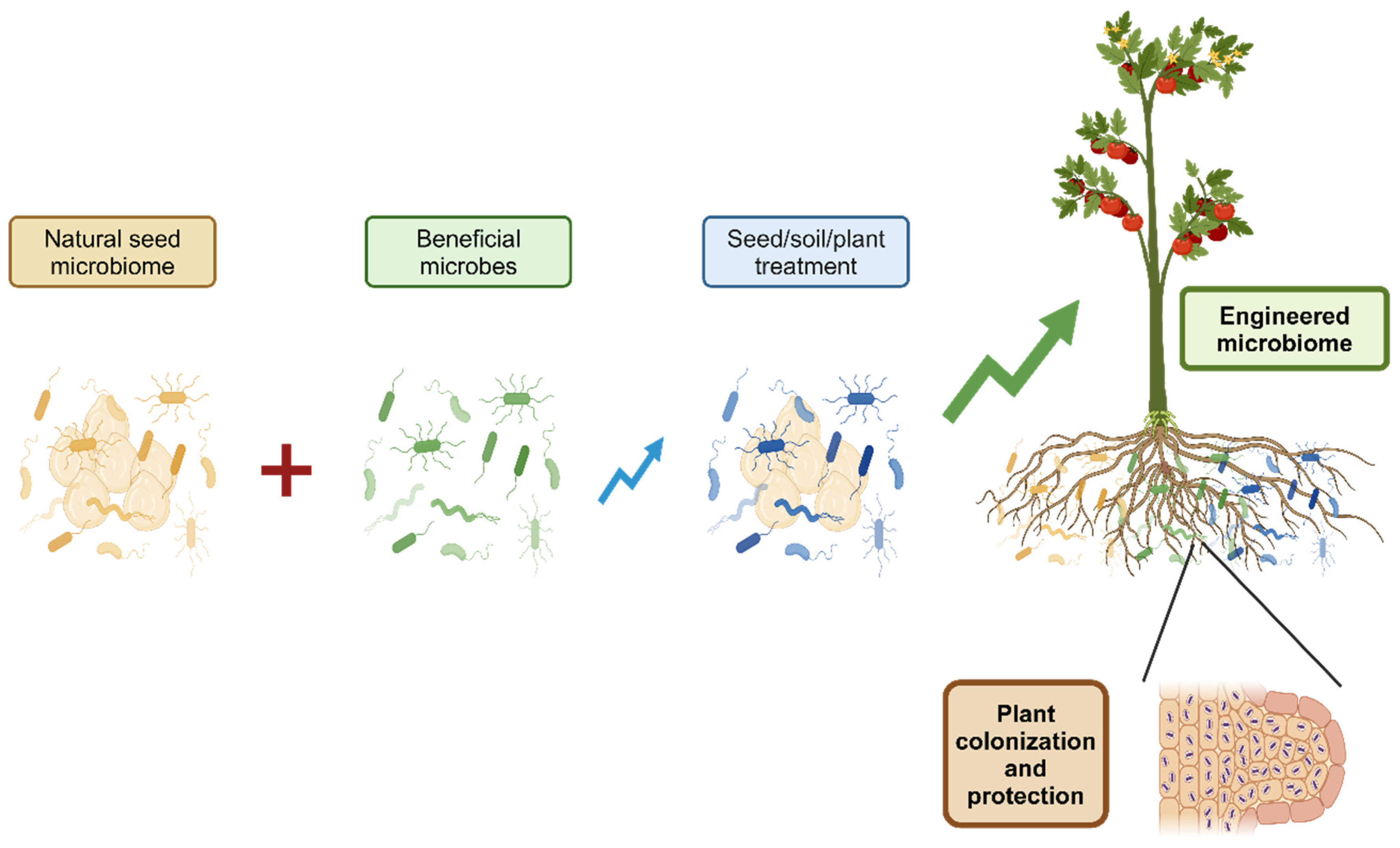 Preprints 150965 g002