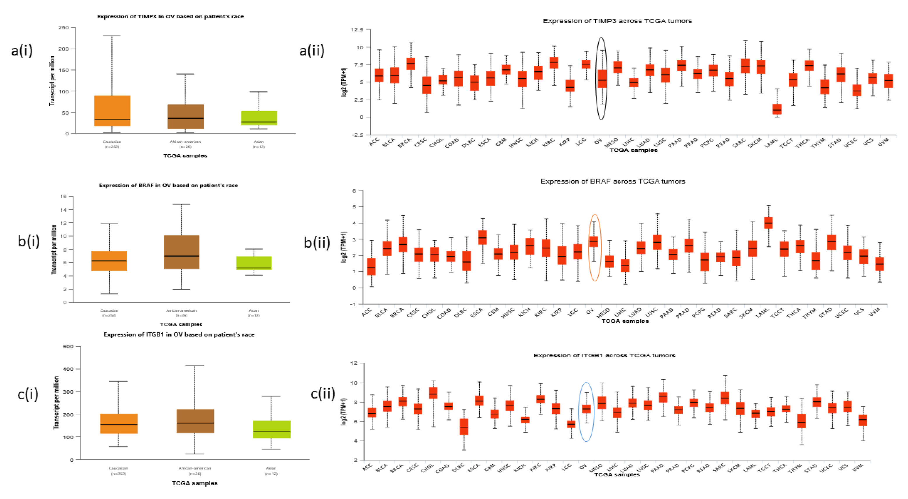 Preprints 157806 g004