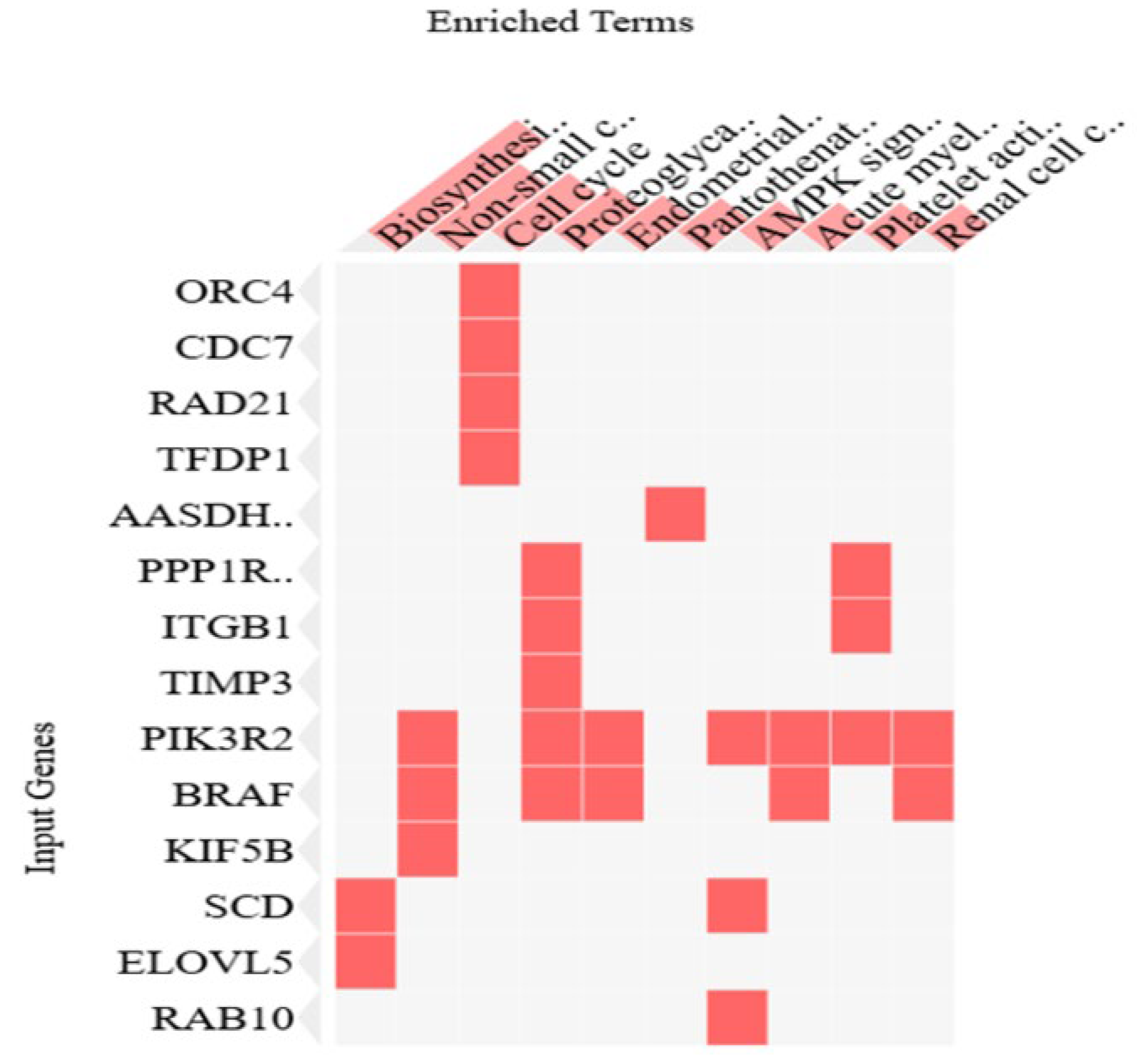 Preprints 157806 g006
