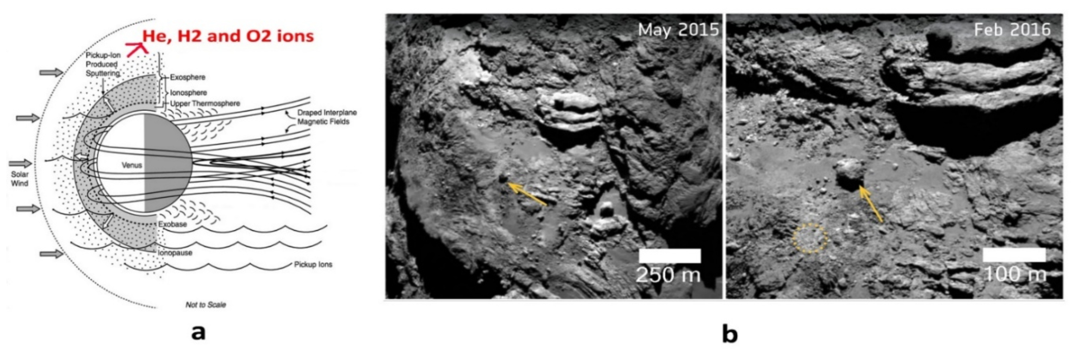 Preprints 153908 g002