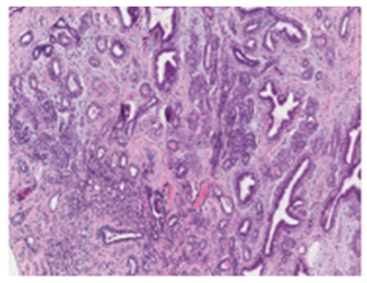 Preprints 196154 i002