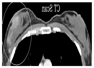 Preprints 196154 i003