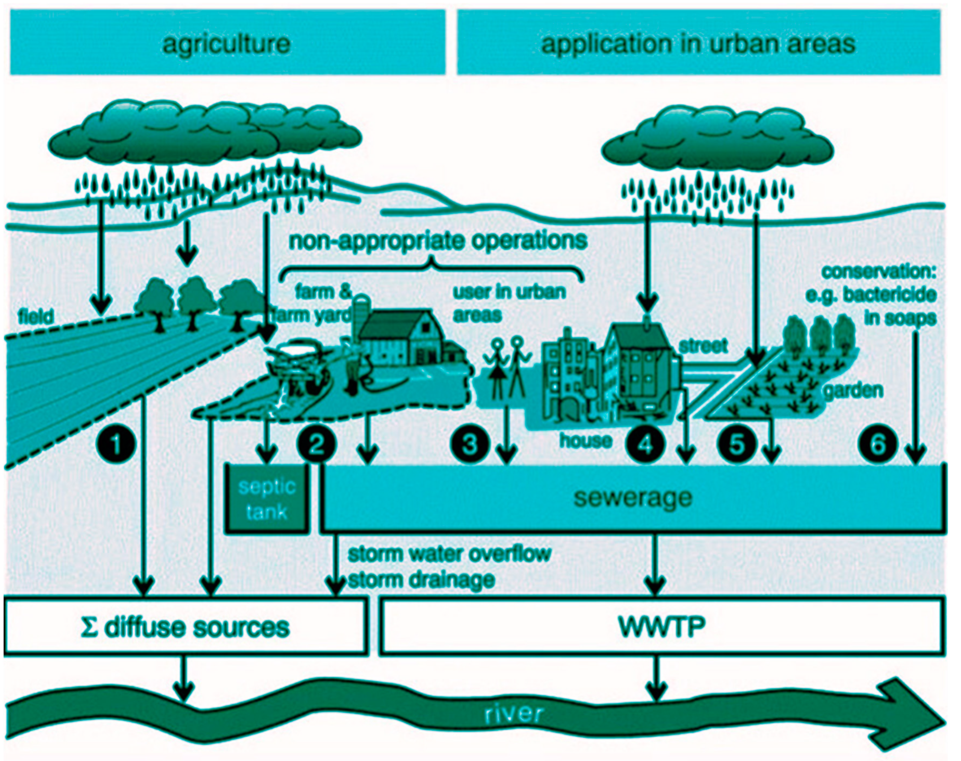 Preprints 151407 g001