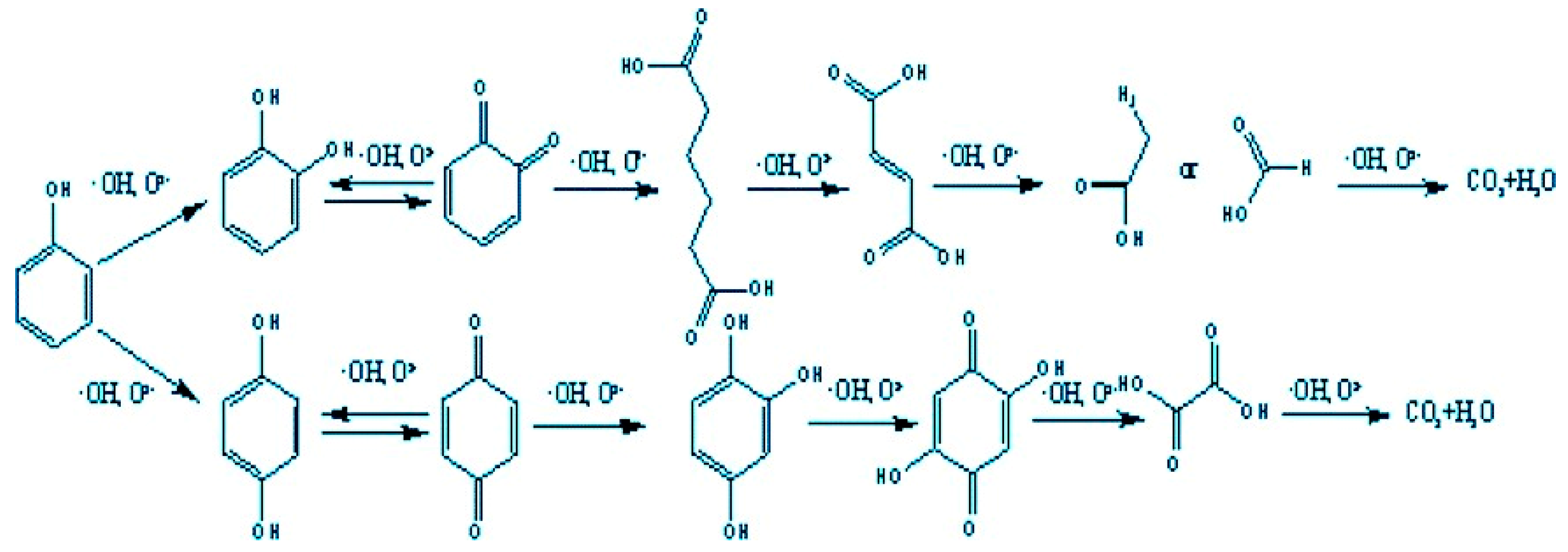 Preprints 151407 g006