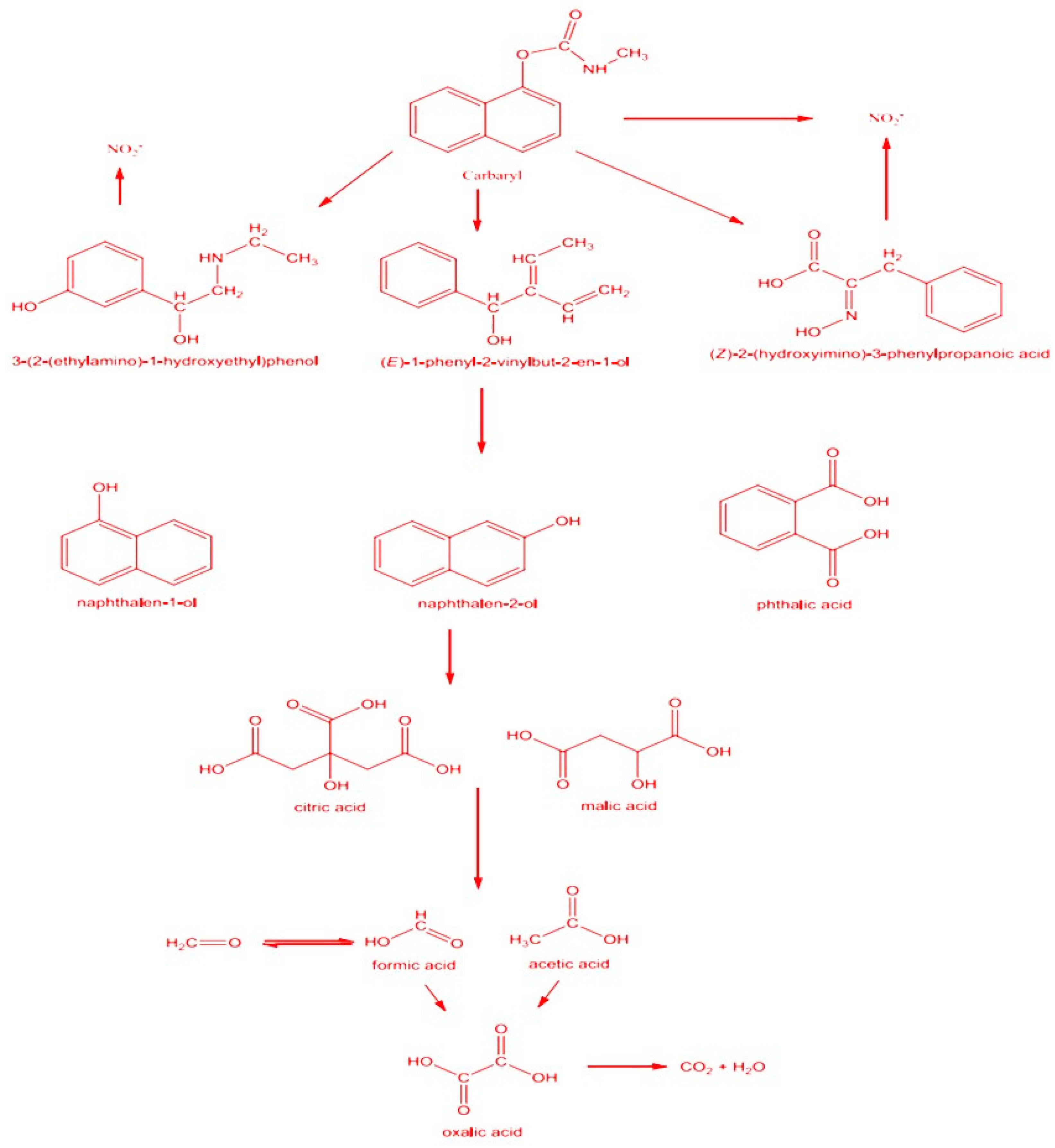 Preprints 151407 g008