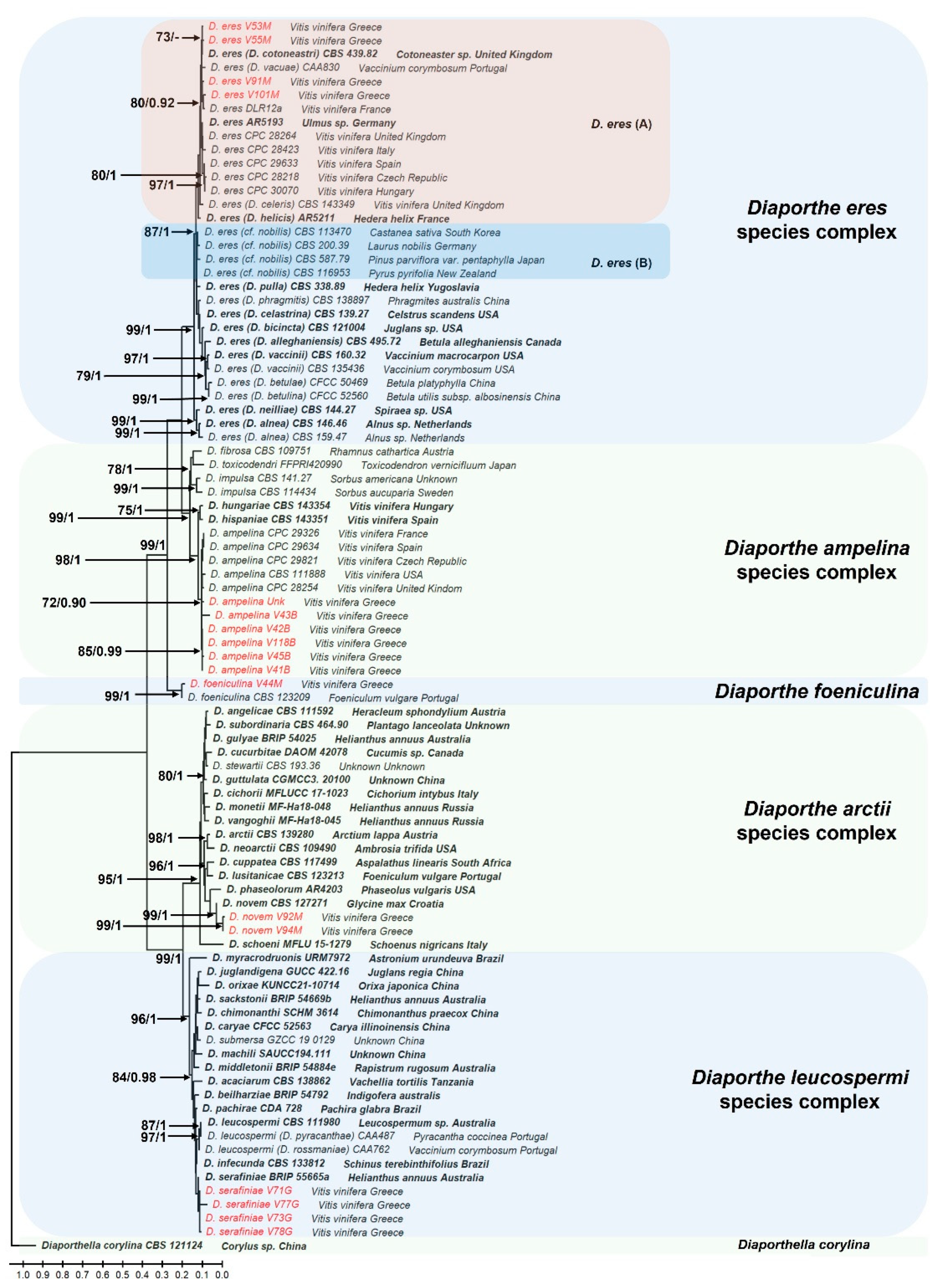 Preprints 177714 g002