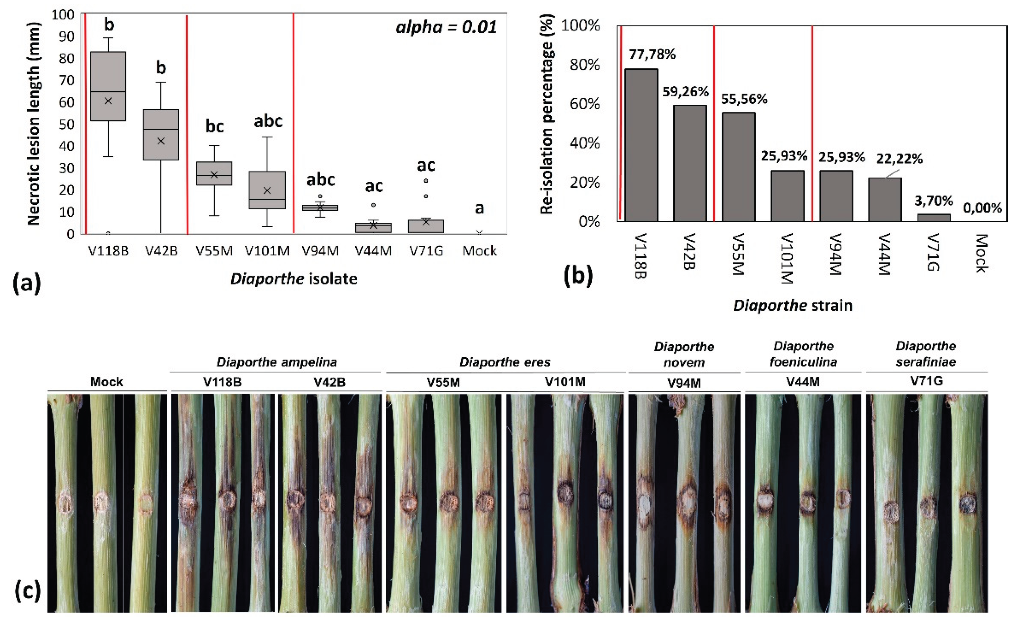 Preprints 177714 g005