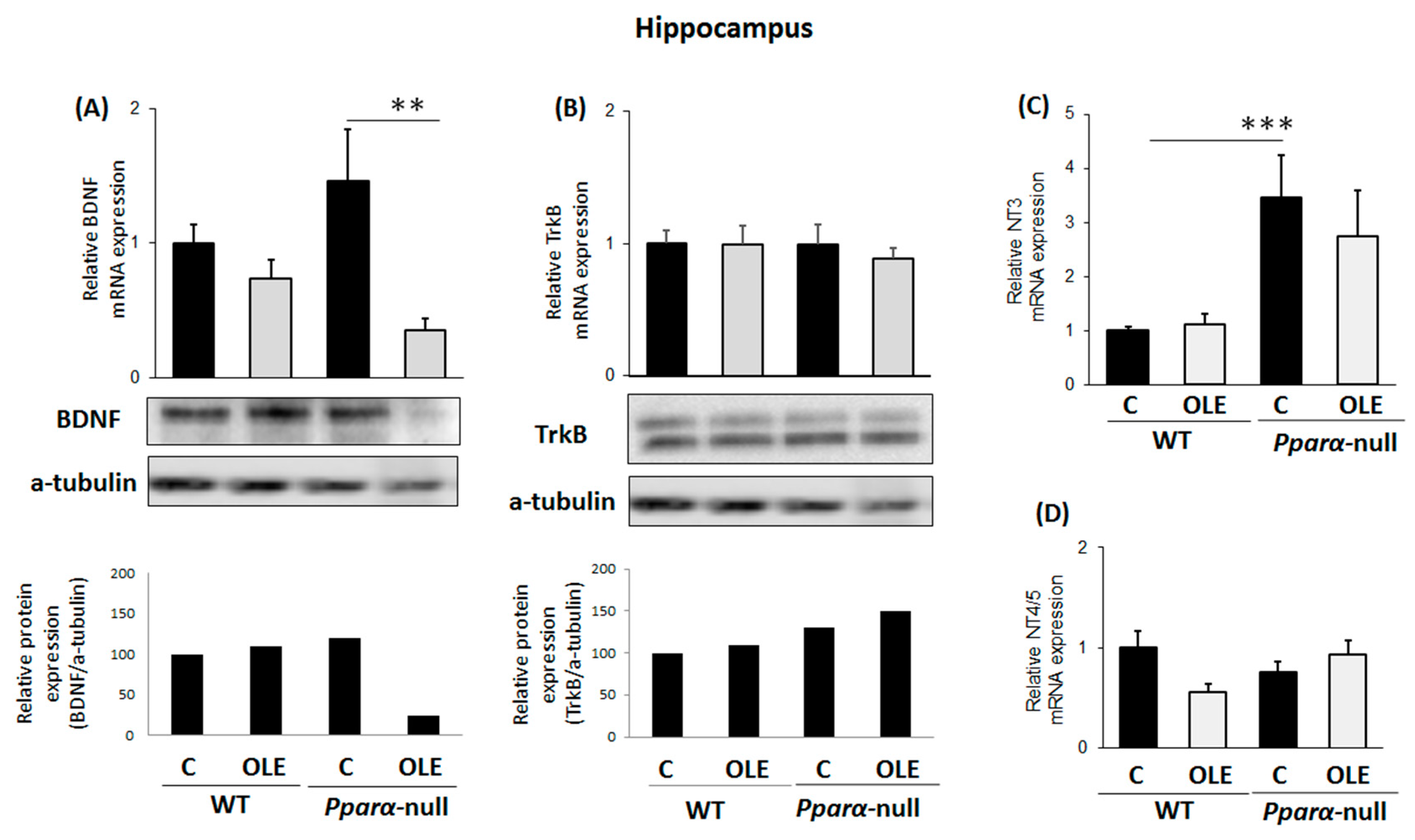 Preprints 79517 g002
