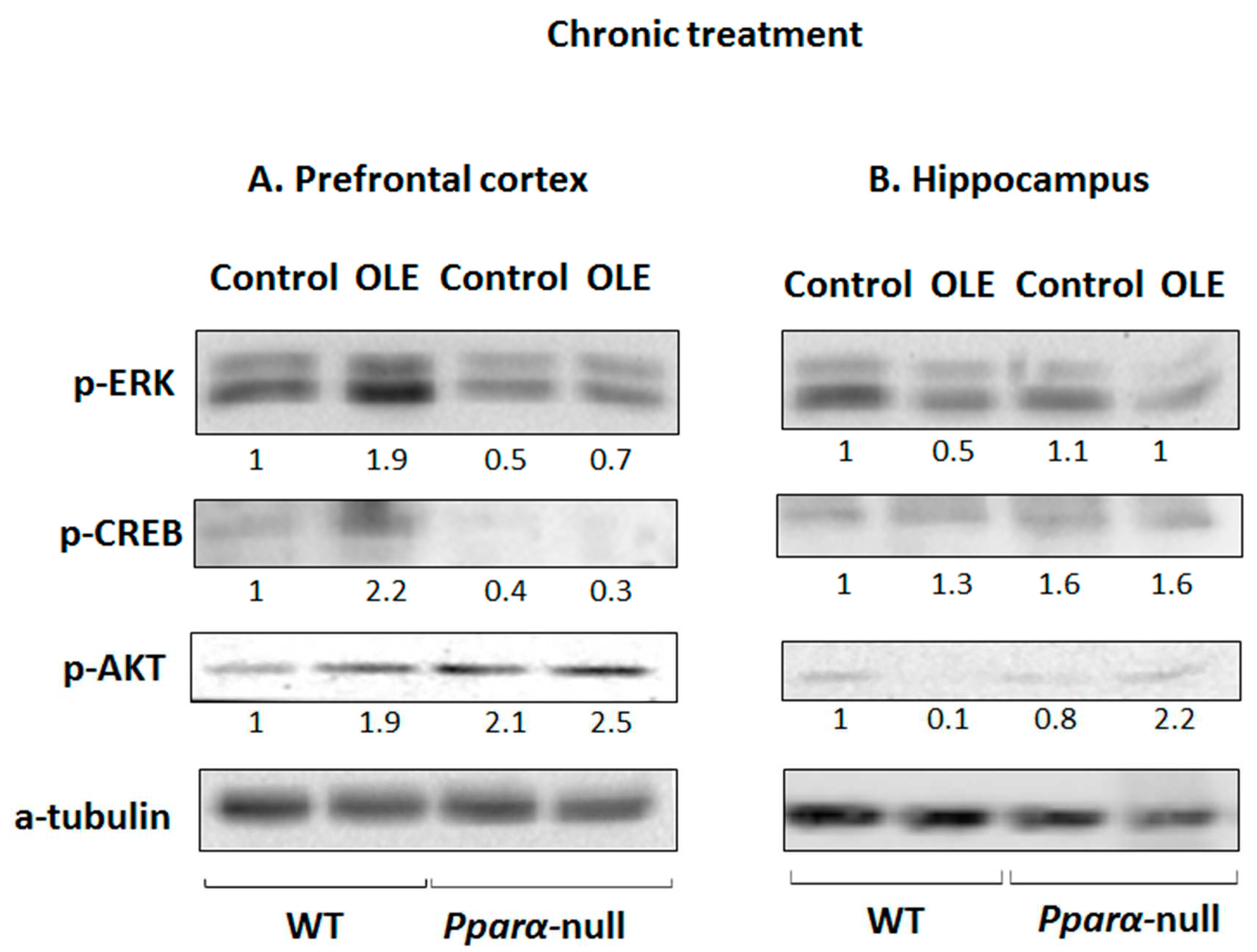 Preprints 79517 g003