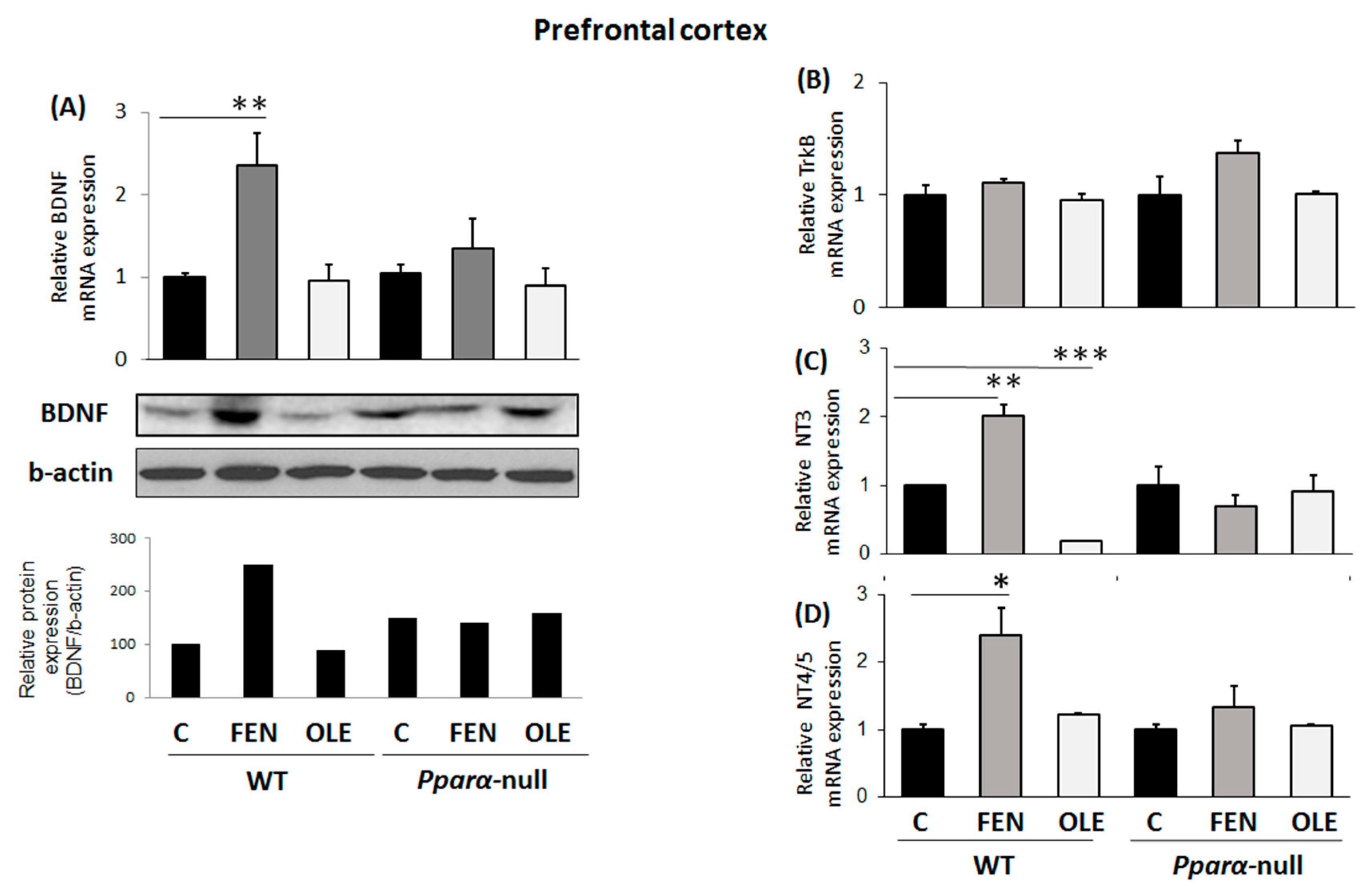 Preprints 79517 g004