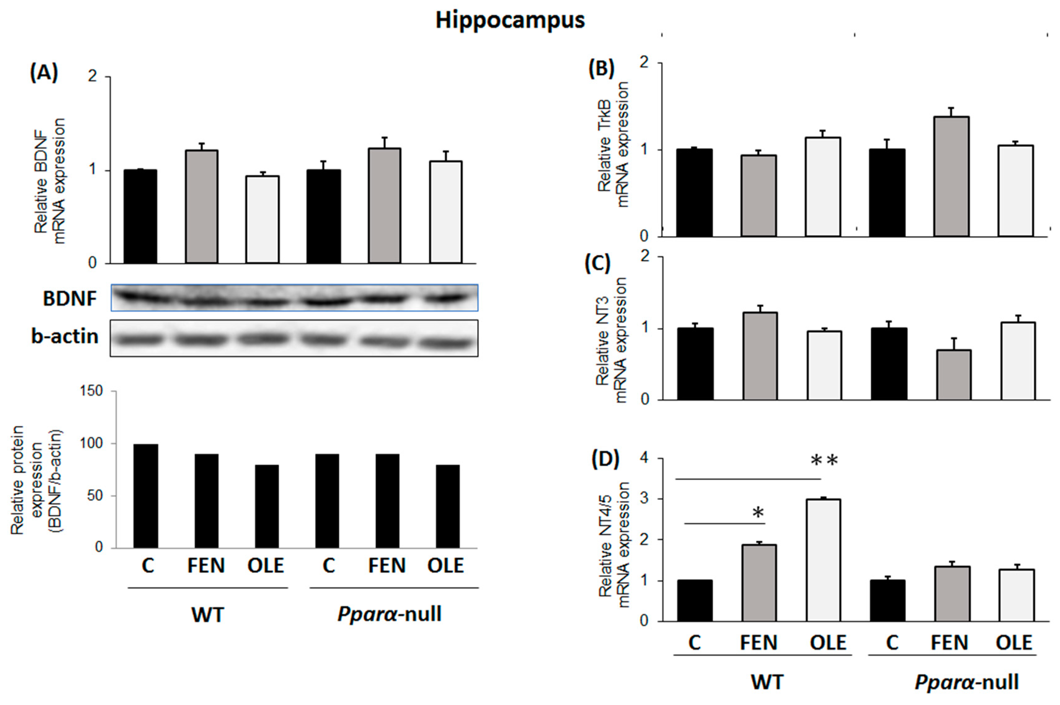 Preprints 79517 g005