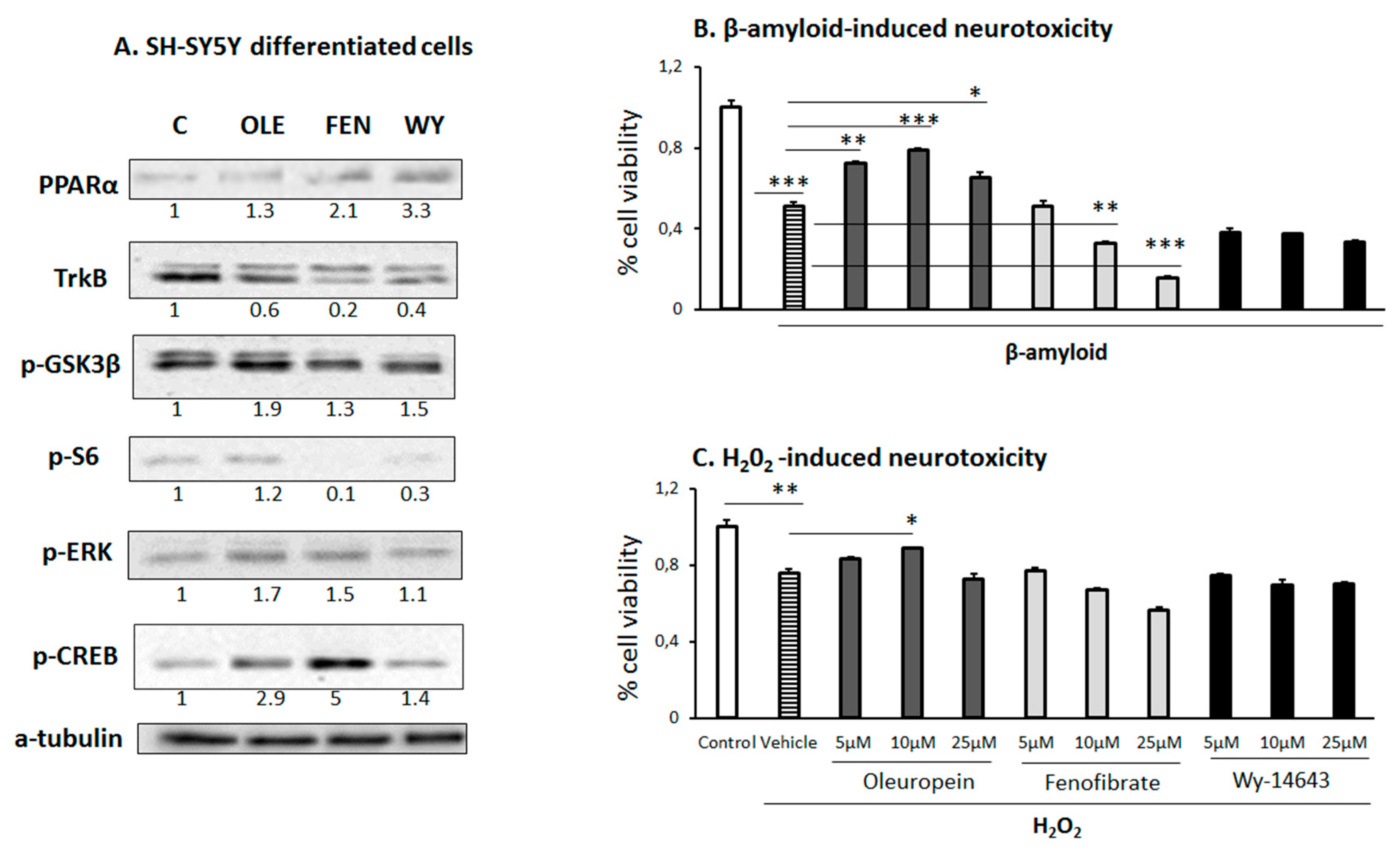 Preprints 79517 g006
