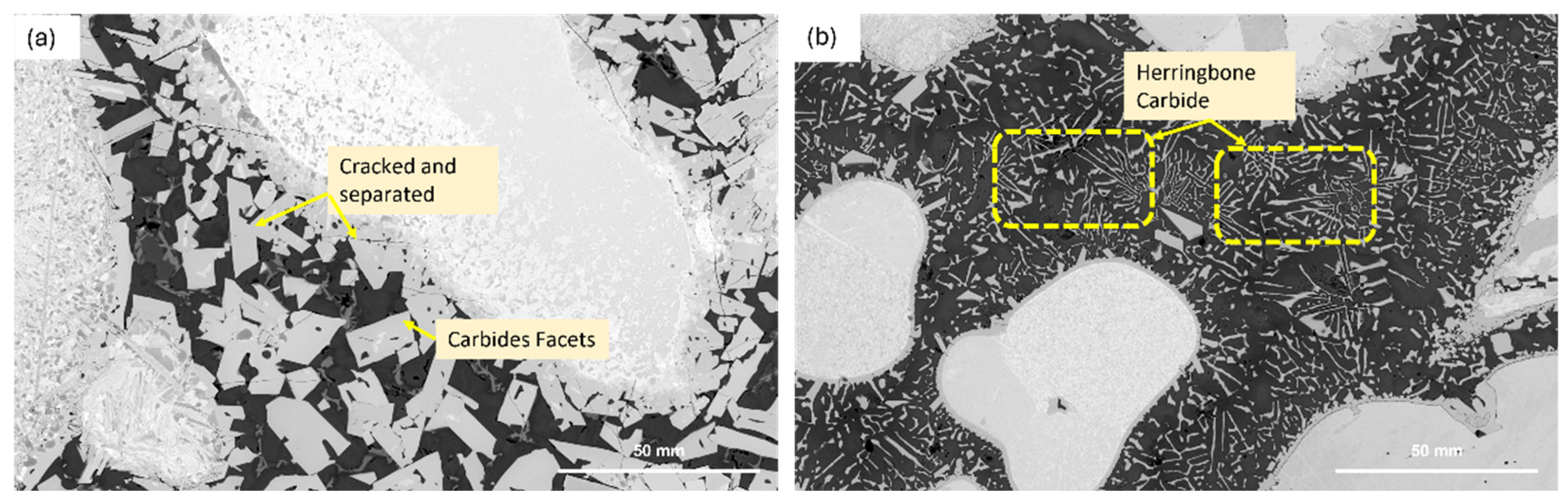 Preprints 169963 g005