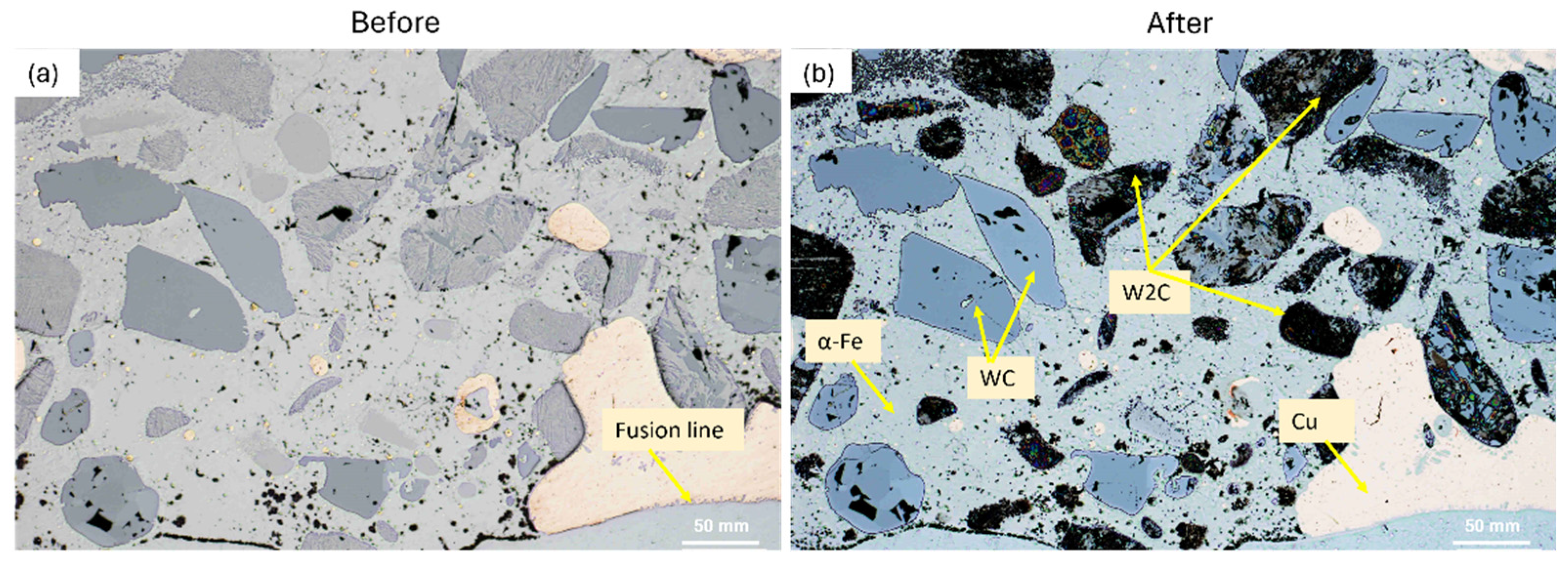 Preprints 169963 g006