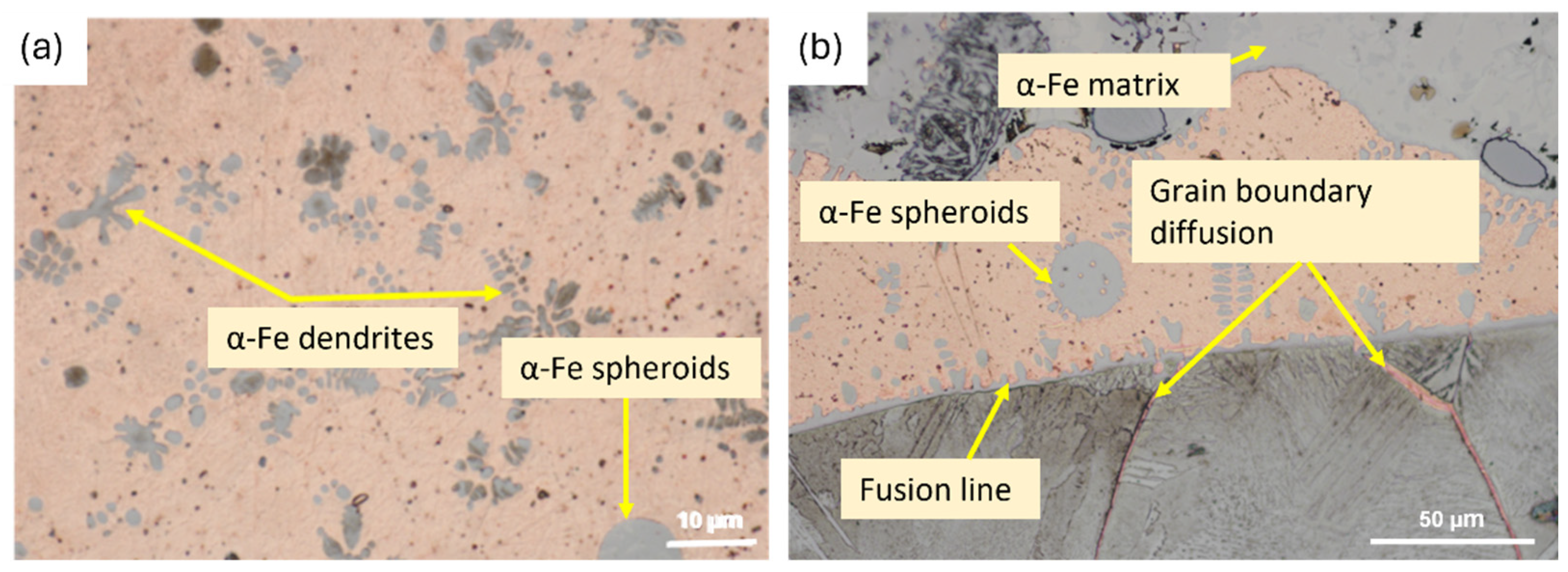 Preprints 169963 g009