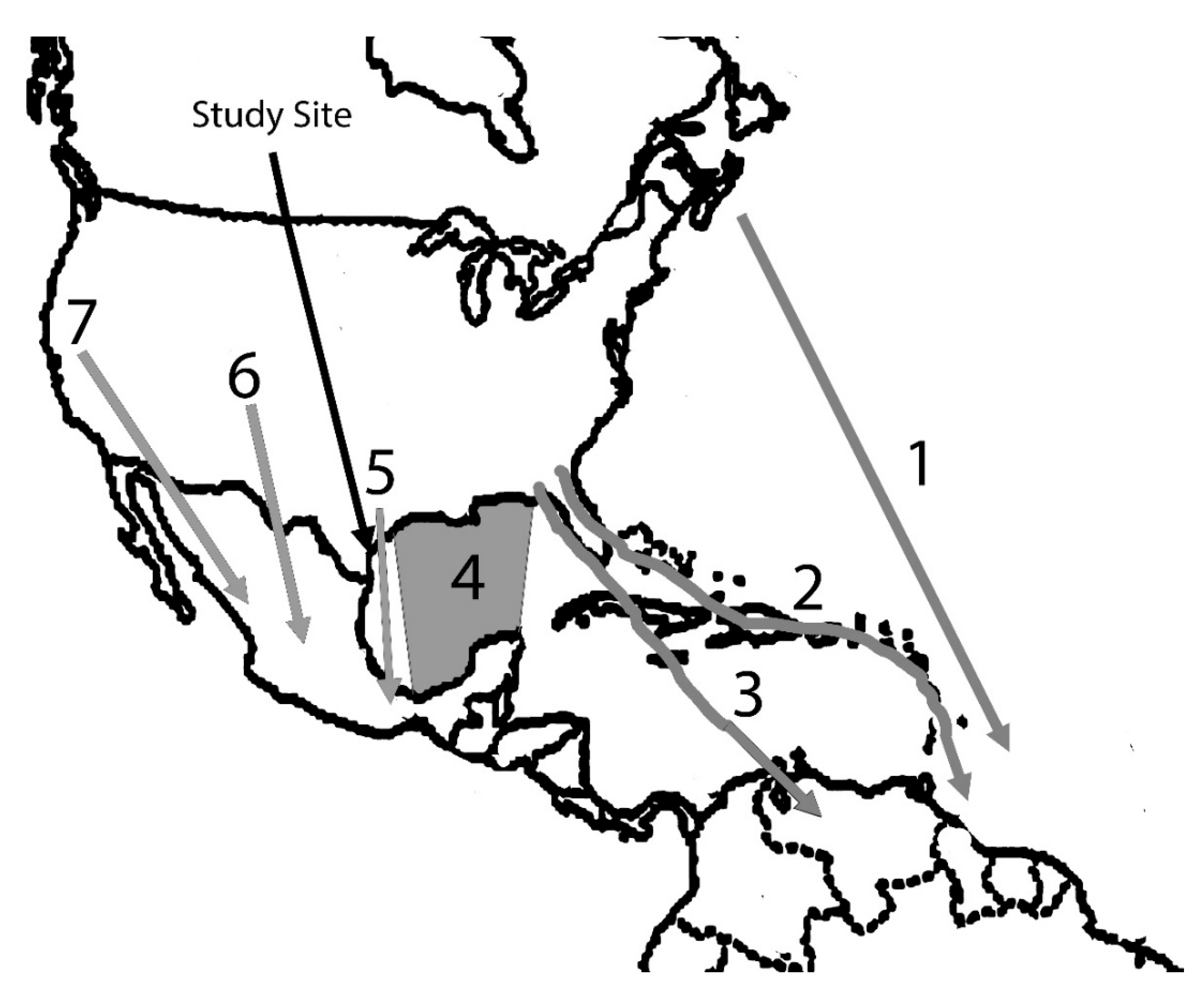 Preprints 171645 g001