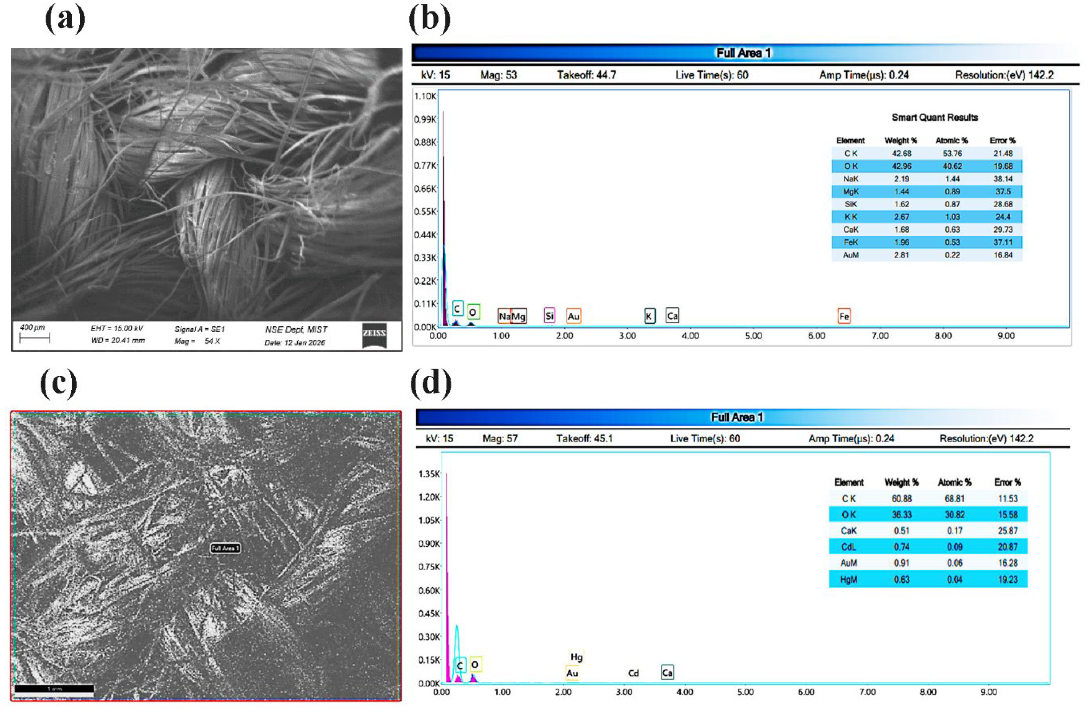 Preprints 205864 g005