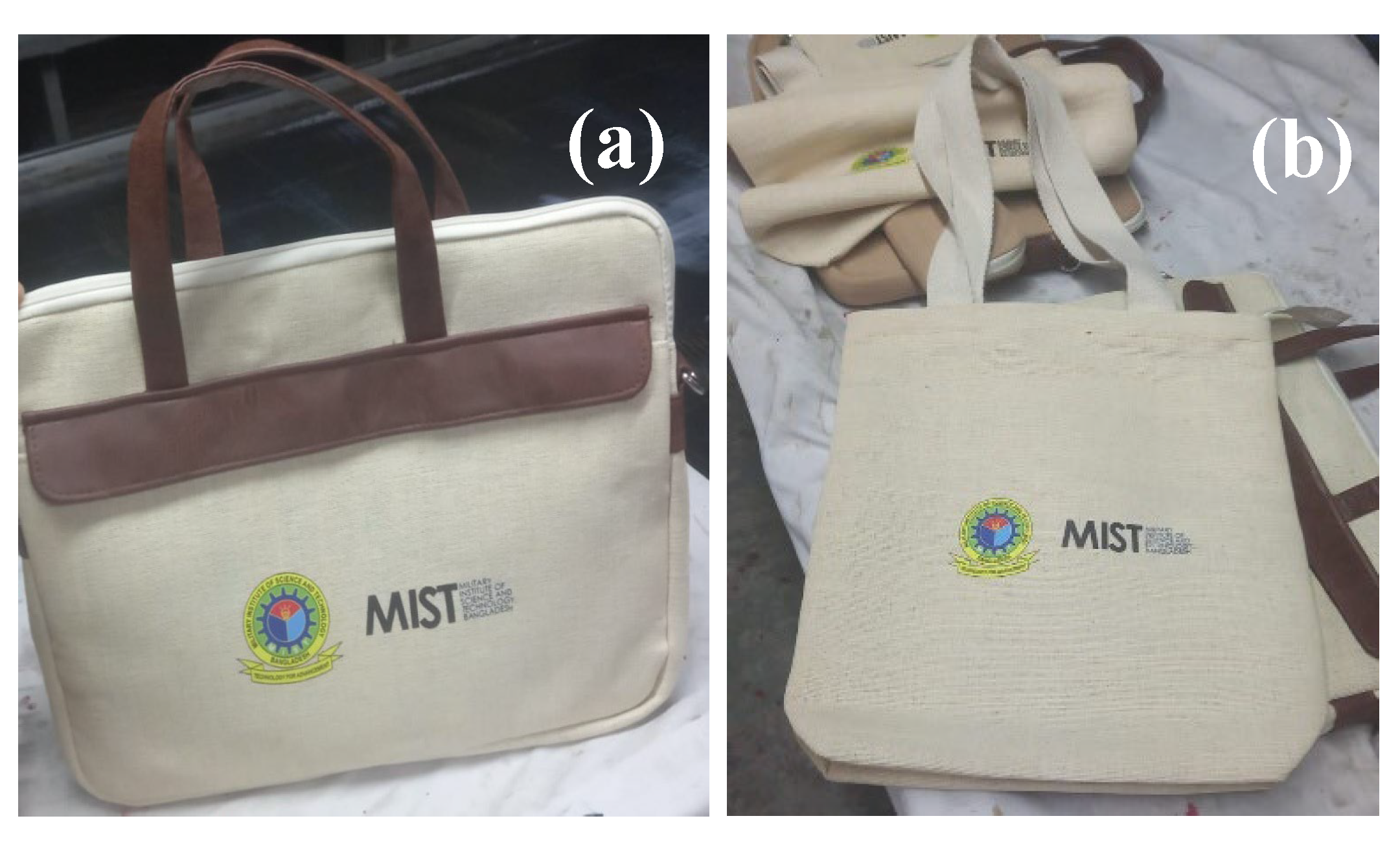 Preprints 205864 g010