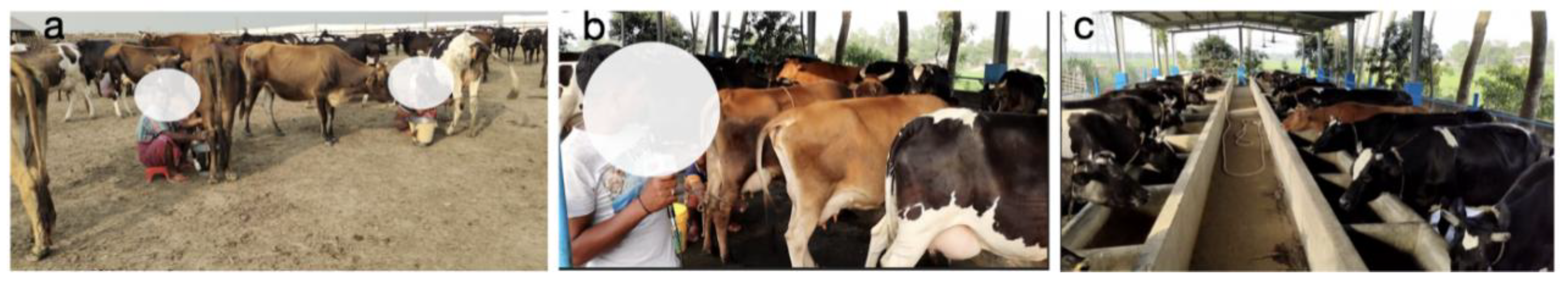 Preprints 179506 g002