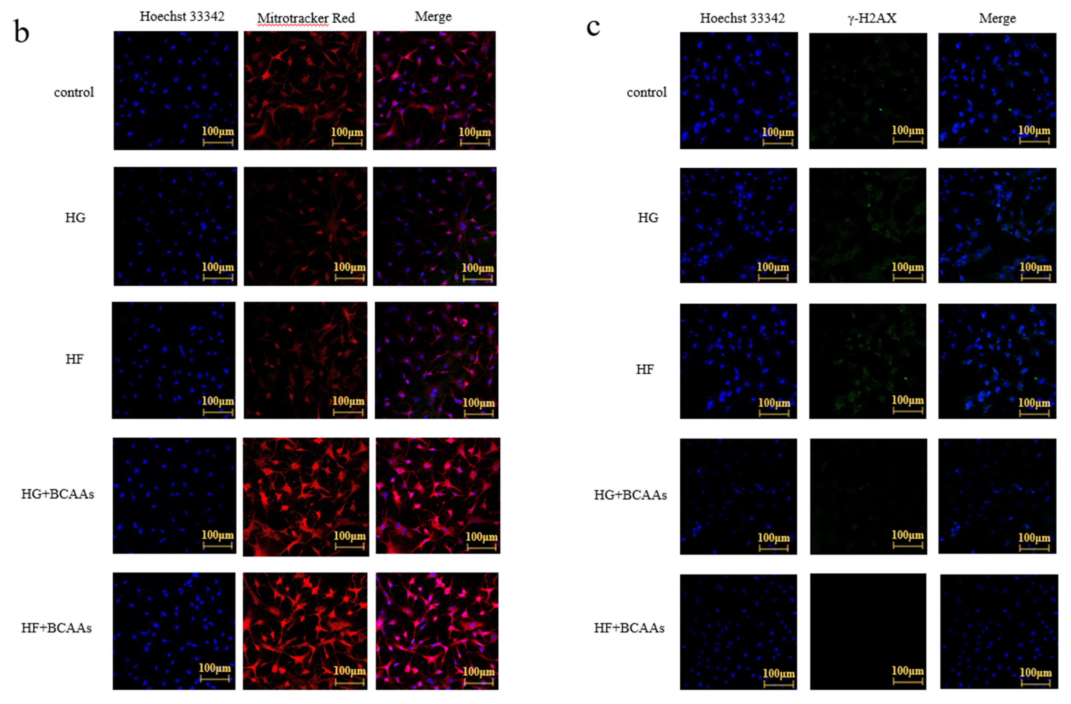 Preprints 148691 g005b