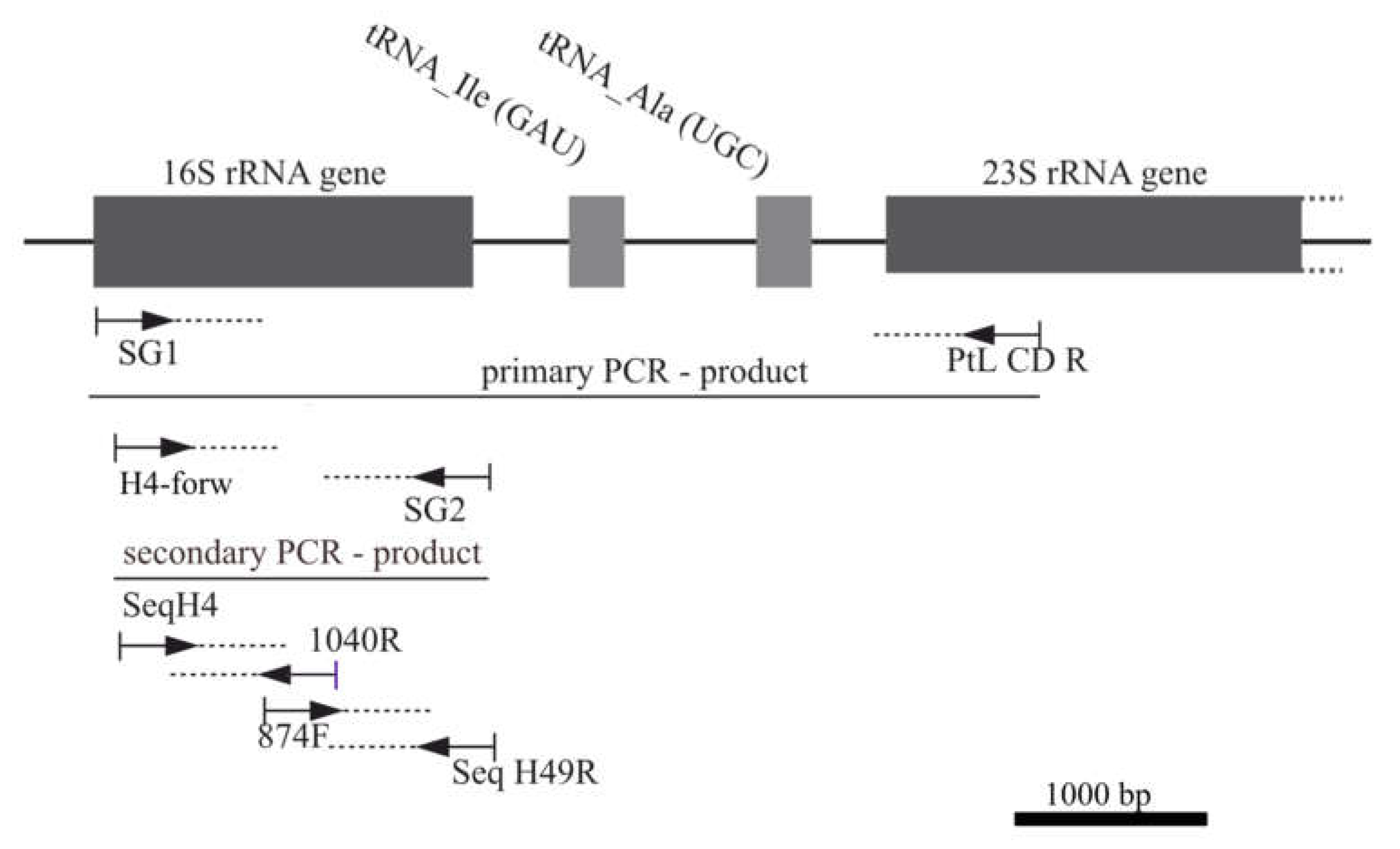 Preprints 138836 g003